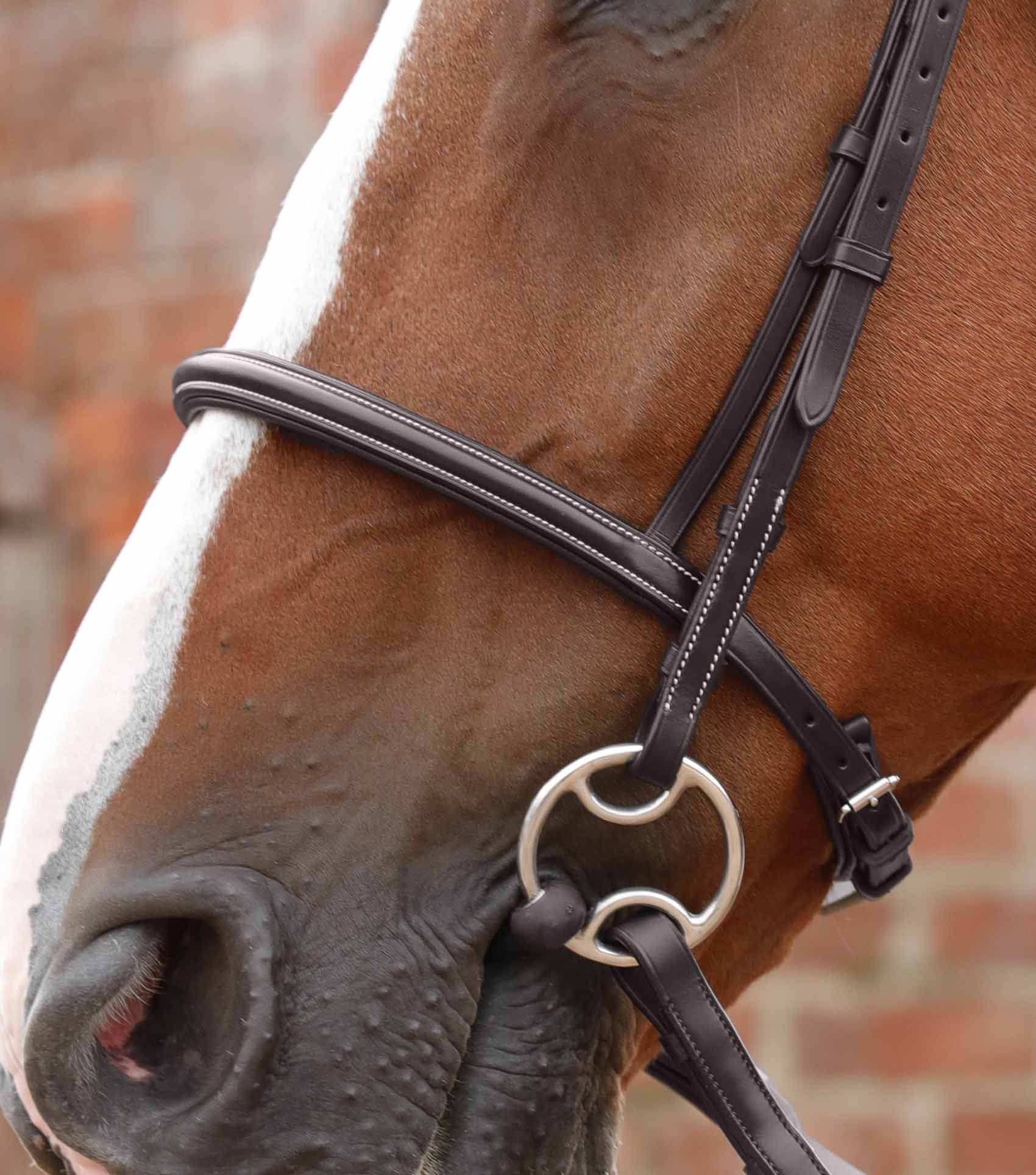 END OF LINE - Mossimo Cavesson Bridle - Image 8