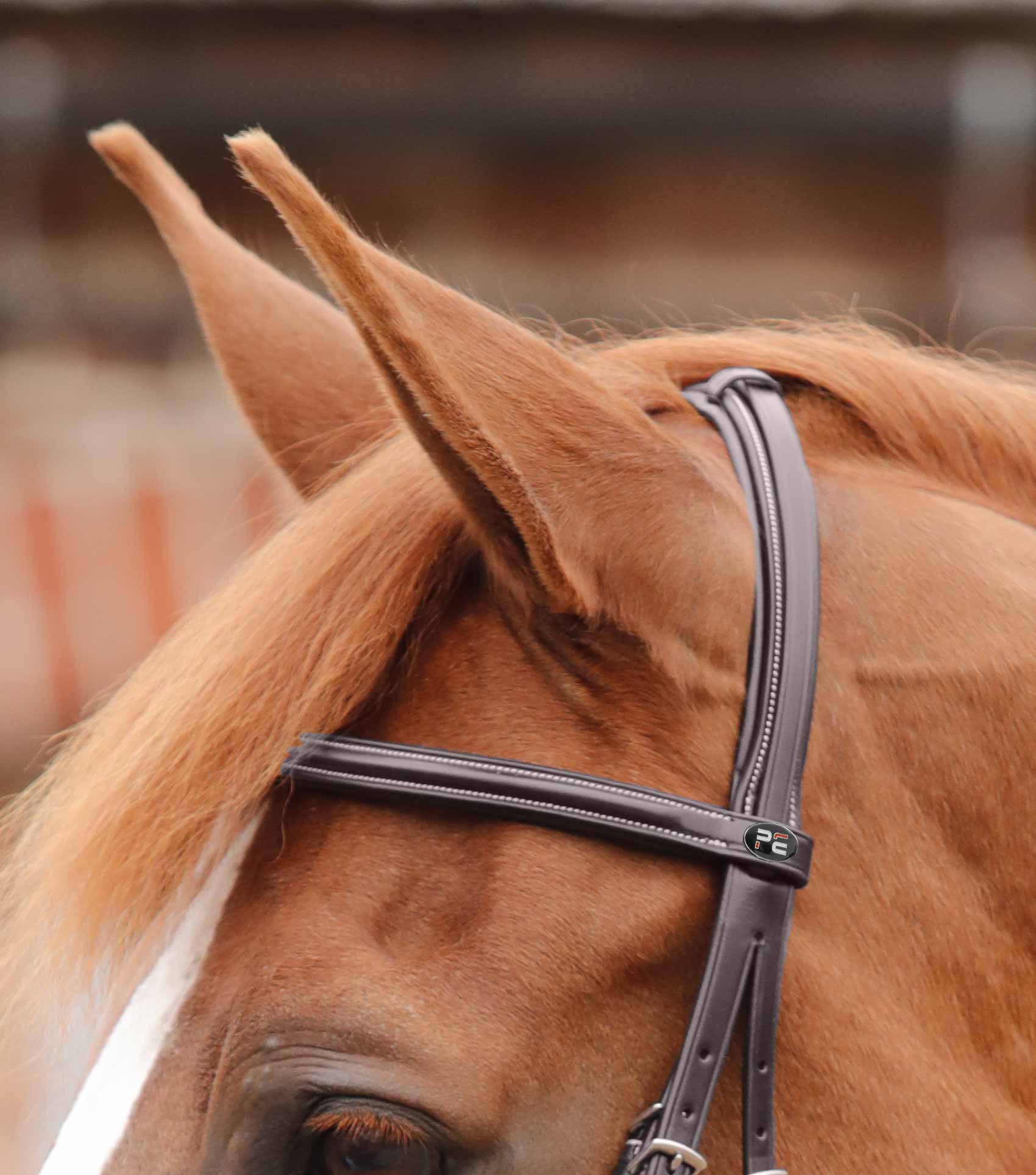 END OF LINE - Mossimo Cavesson Bridle - Image 9