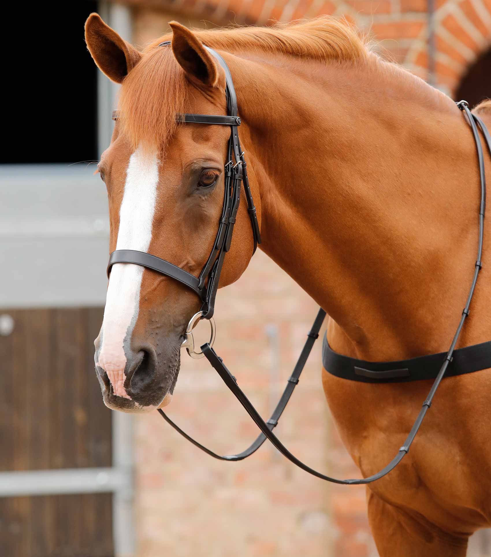END OF LINE - Primo Hunter Bridle