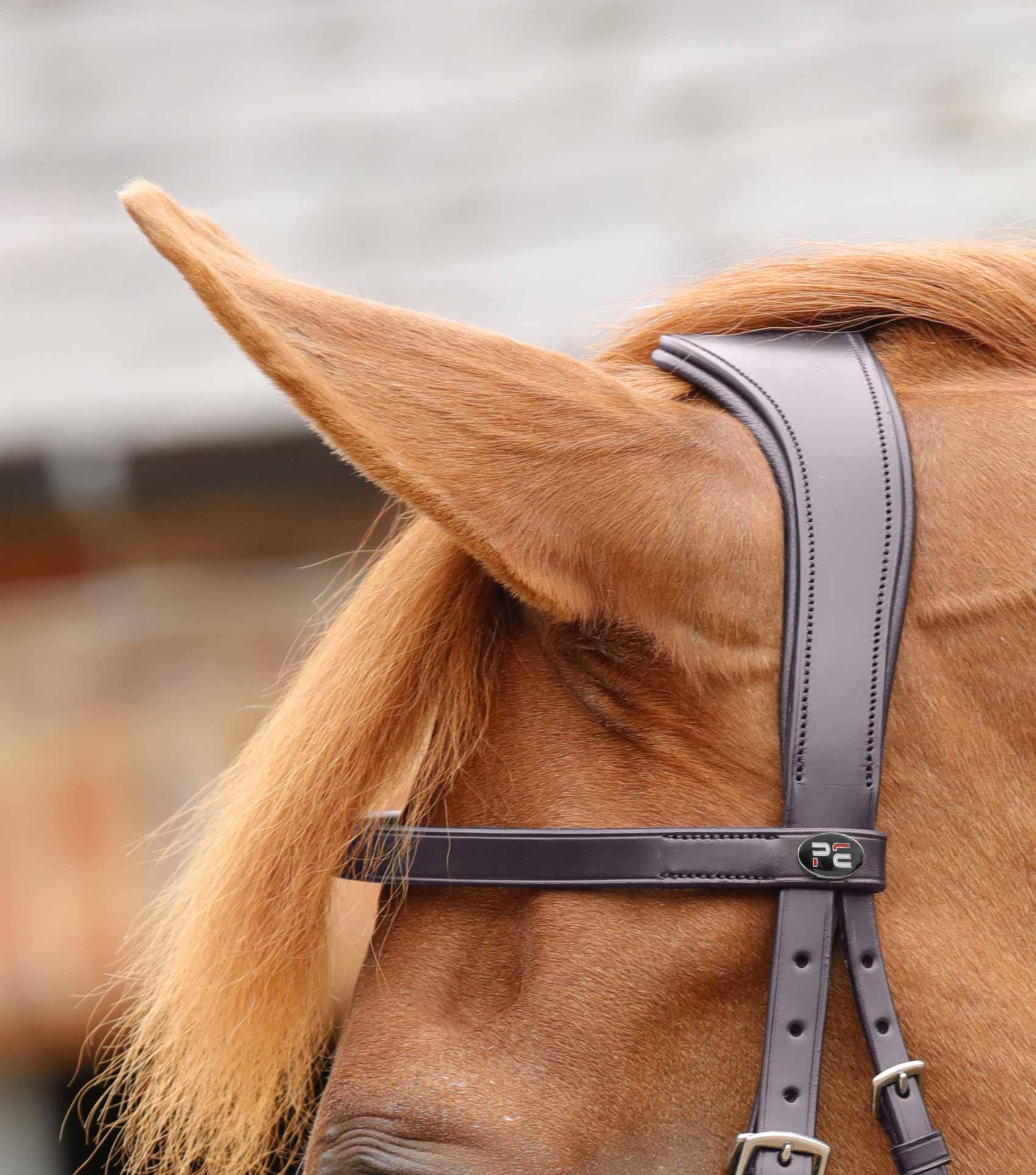 END OF LINE - Primo Hunter Bridle - Image 9