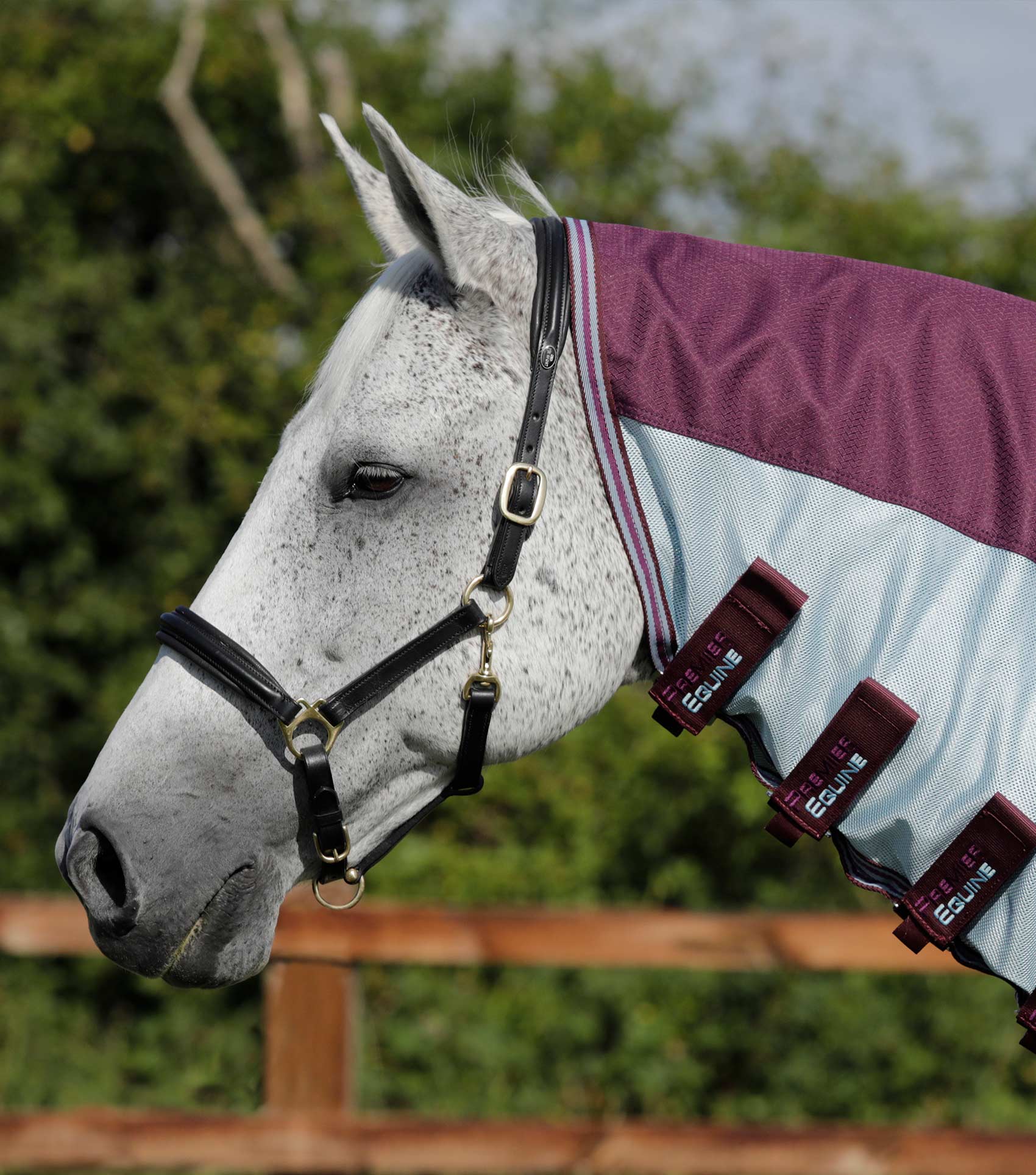 Stay-Dry Mesh Air Fly Rug with Surcingles Wine - Image 2