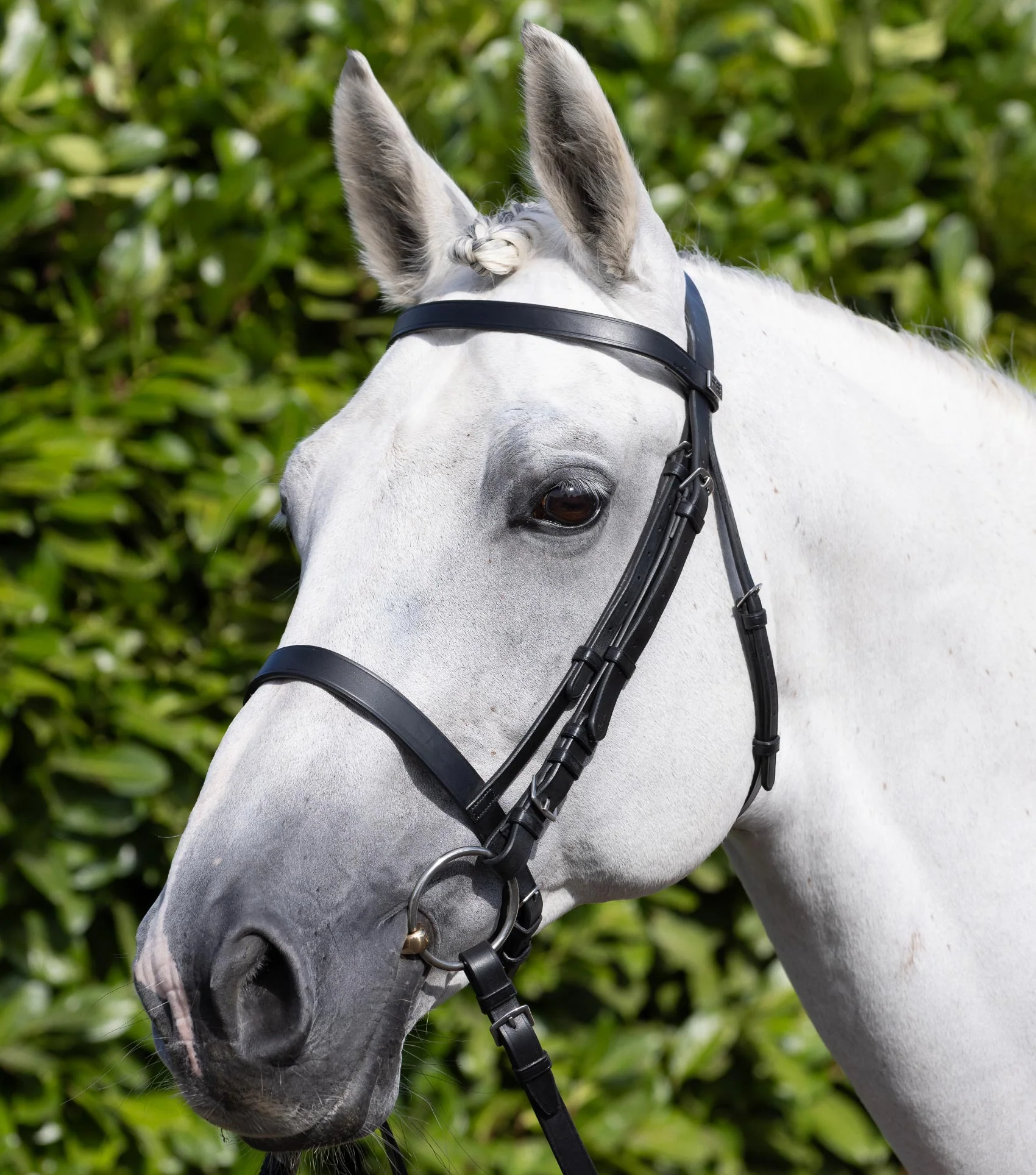 Exercise / Racing Bridle with Plain Caveson Noseband Black