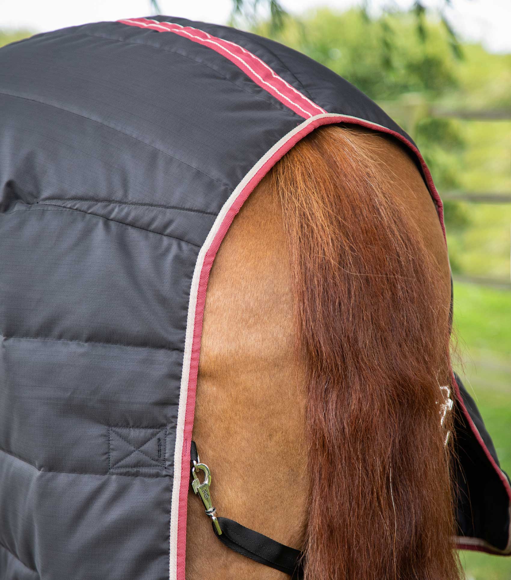 Garissa Stable Rug 100g Black - Image 5