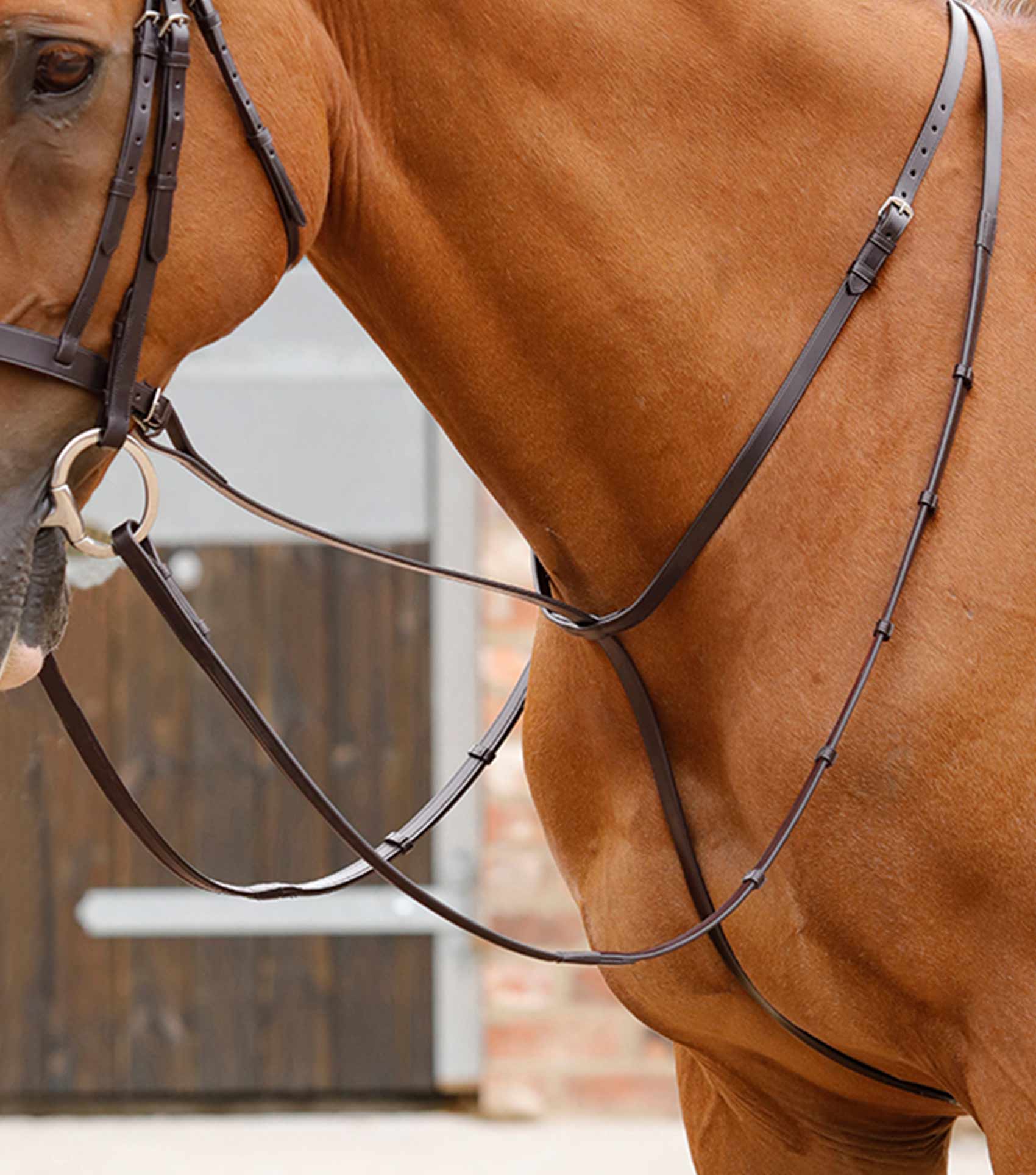 Gressan Standing Martingale Brown