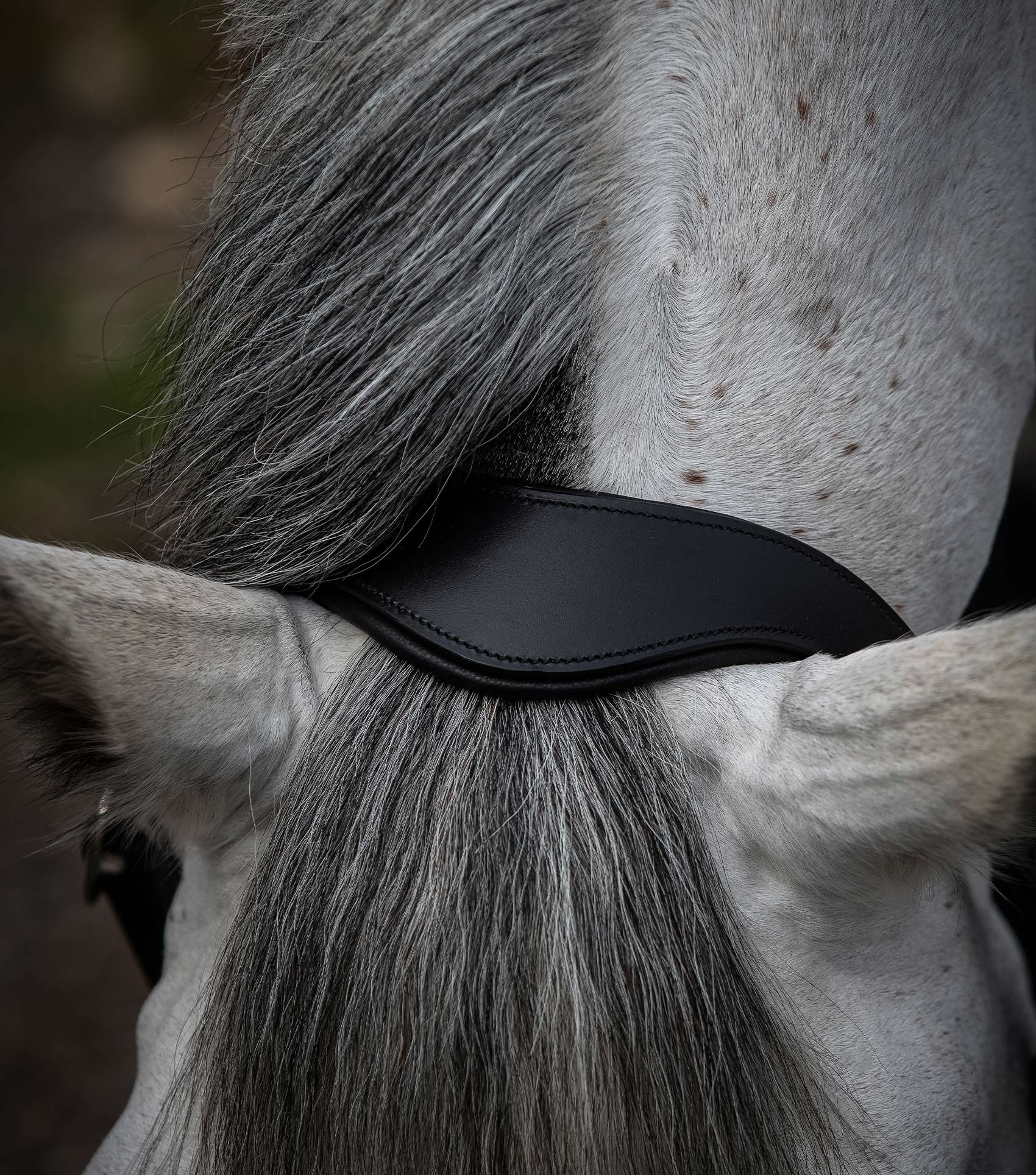 Hennaroso Rolled Anatomic Leather Head Collar Black - Image 2