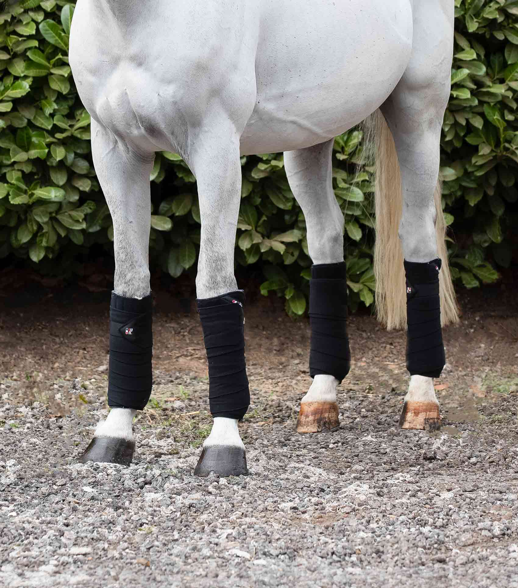Horse Polo Fleece Bandages Black - Image 2