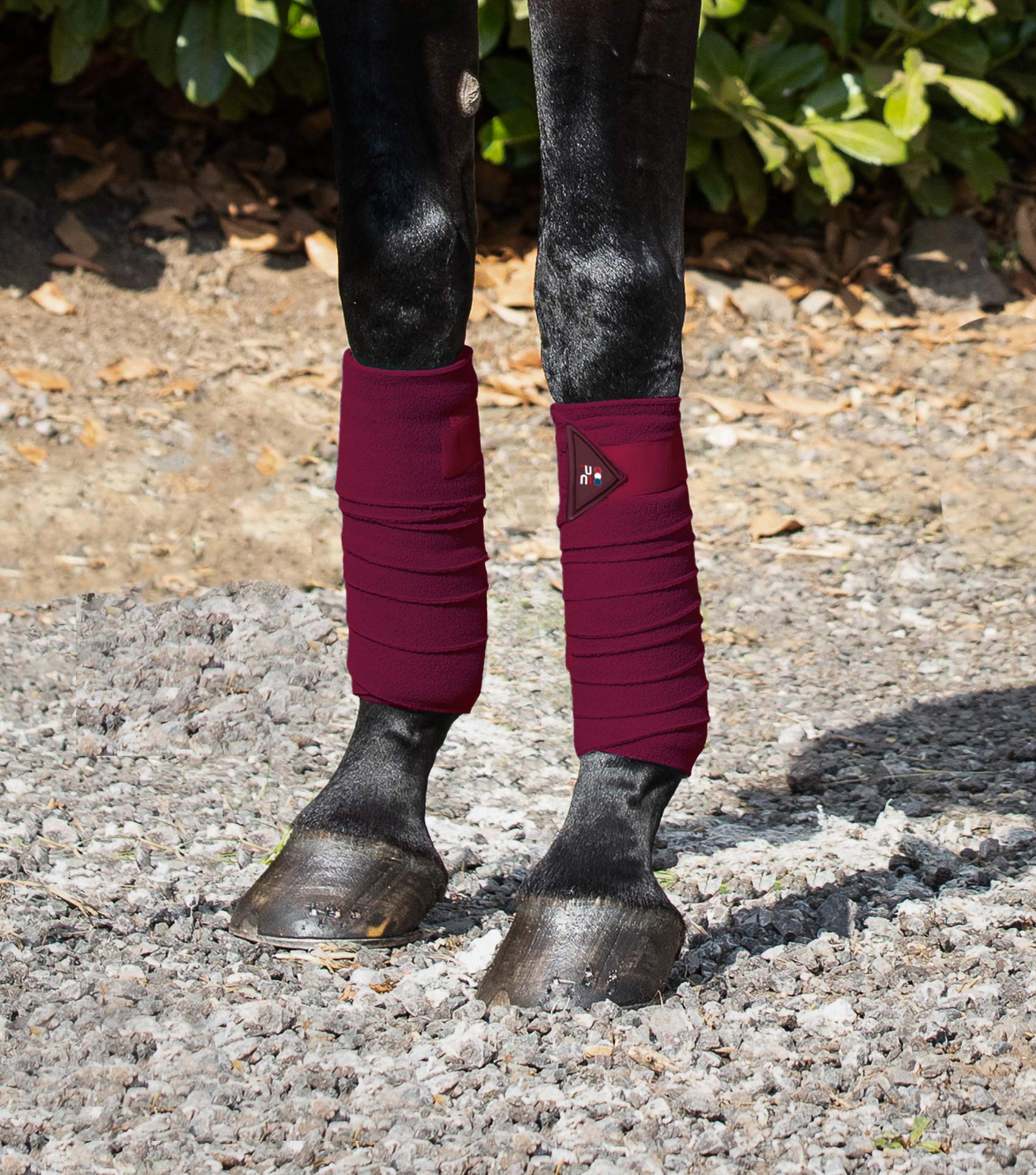 Horse Polo Fleece Bandages Burgundy - Image 3