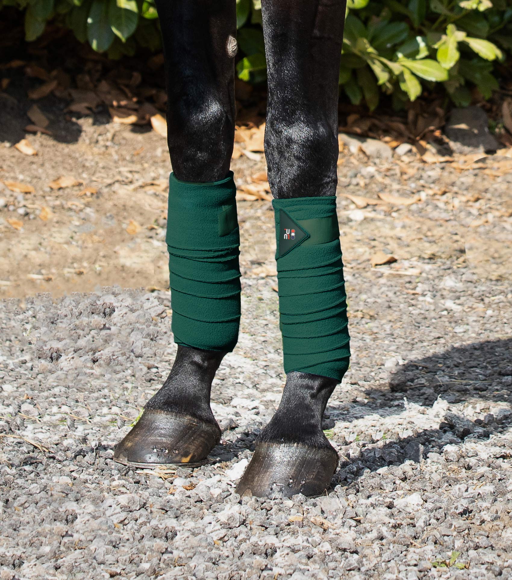 Horse Polo Fleece Bandages Green - Image 3