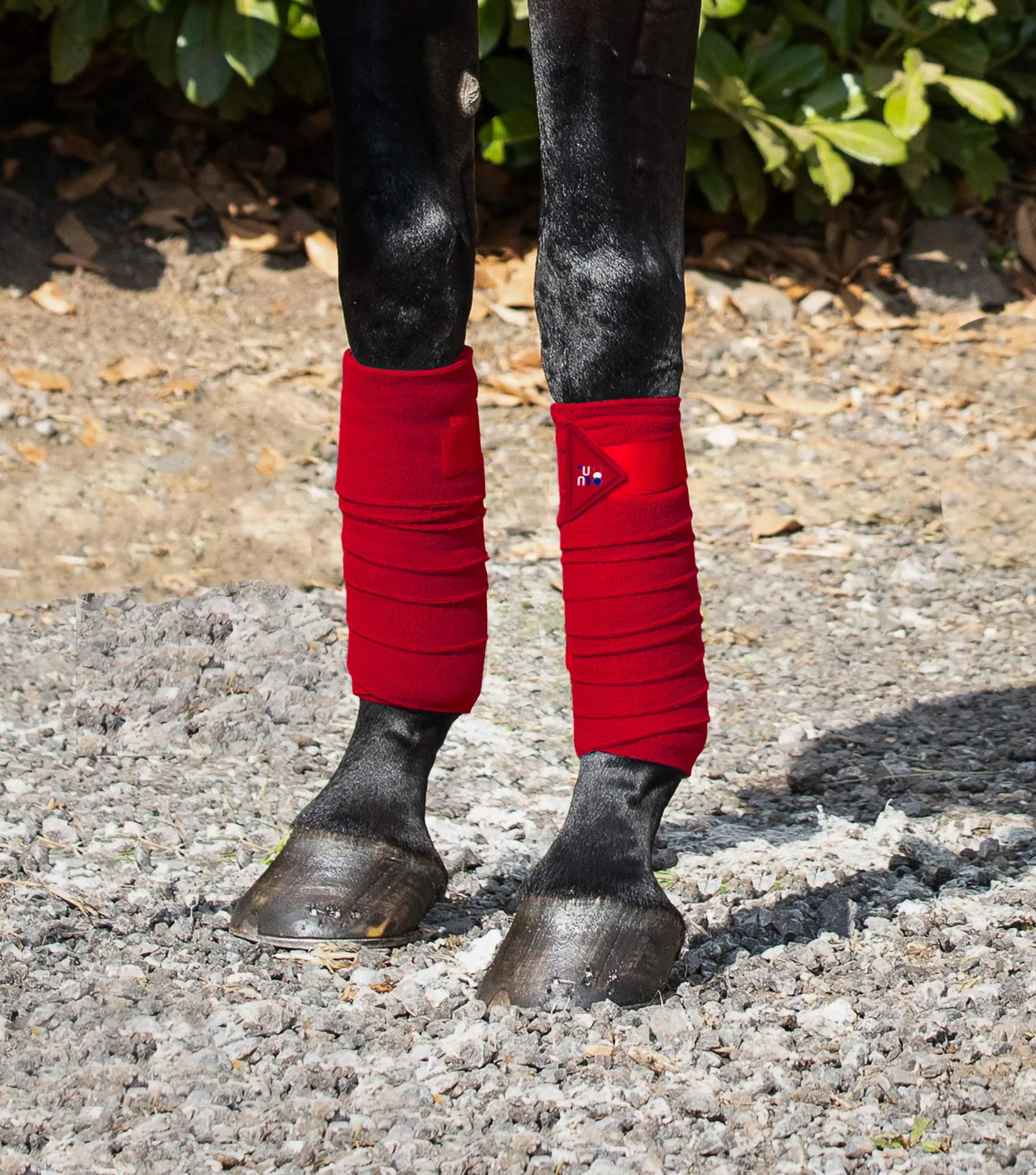 Horse Polo Fleece Bandages Red - Image 3