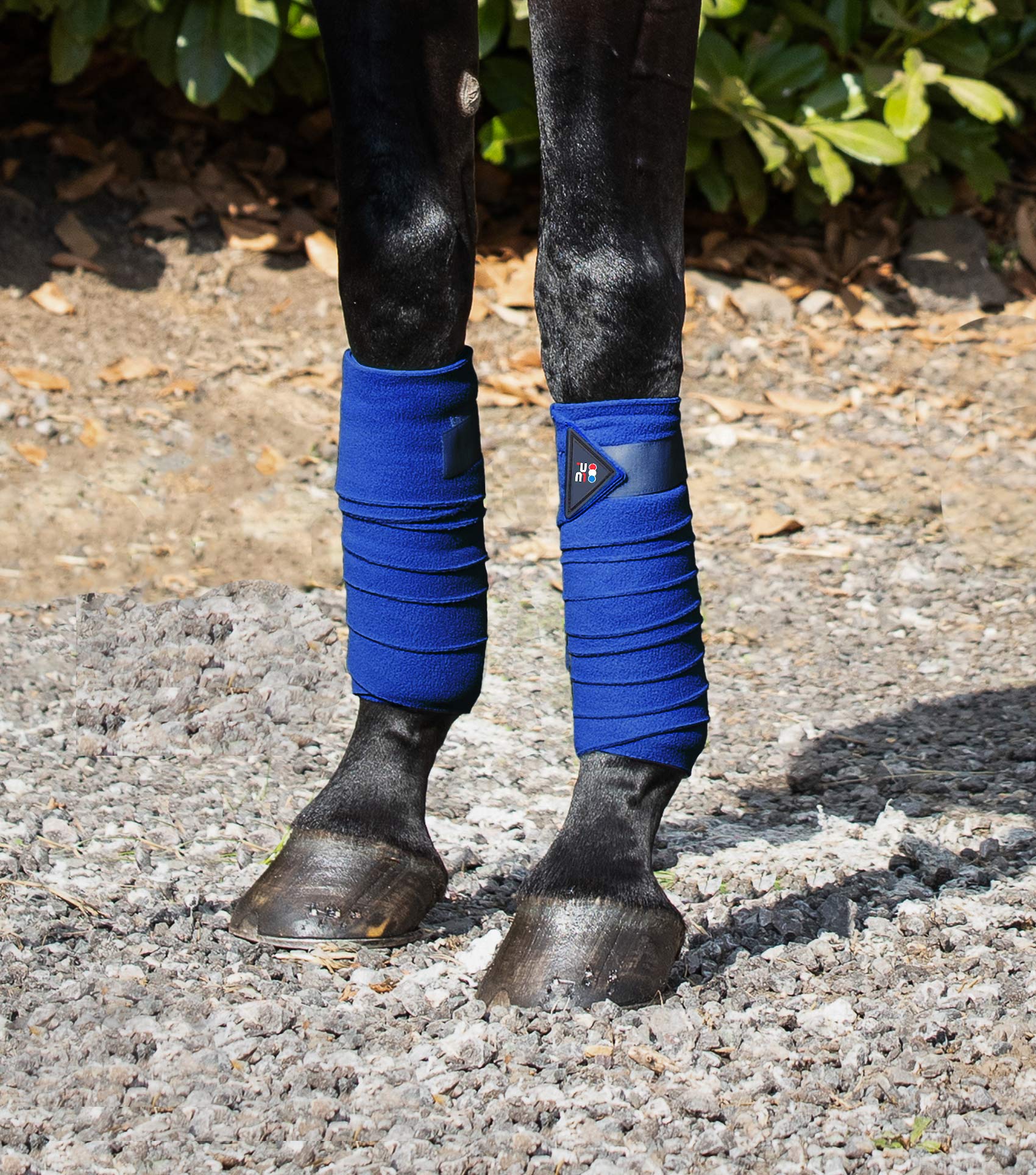 Horse Polo Fleece Bandages Royal Blue - Image 3