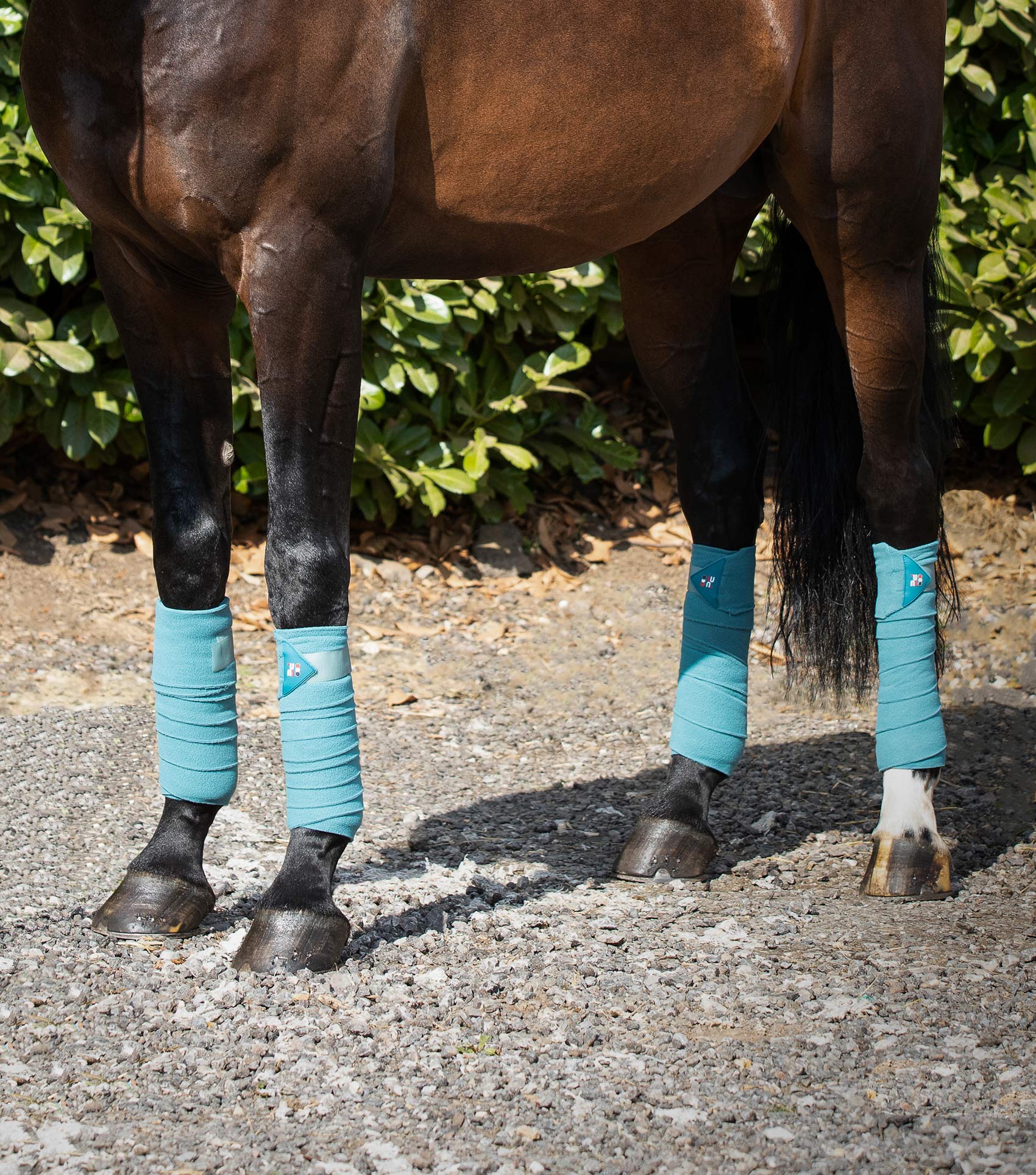 Horse Polo Fleece Bandages Turquoise - Image 3