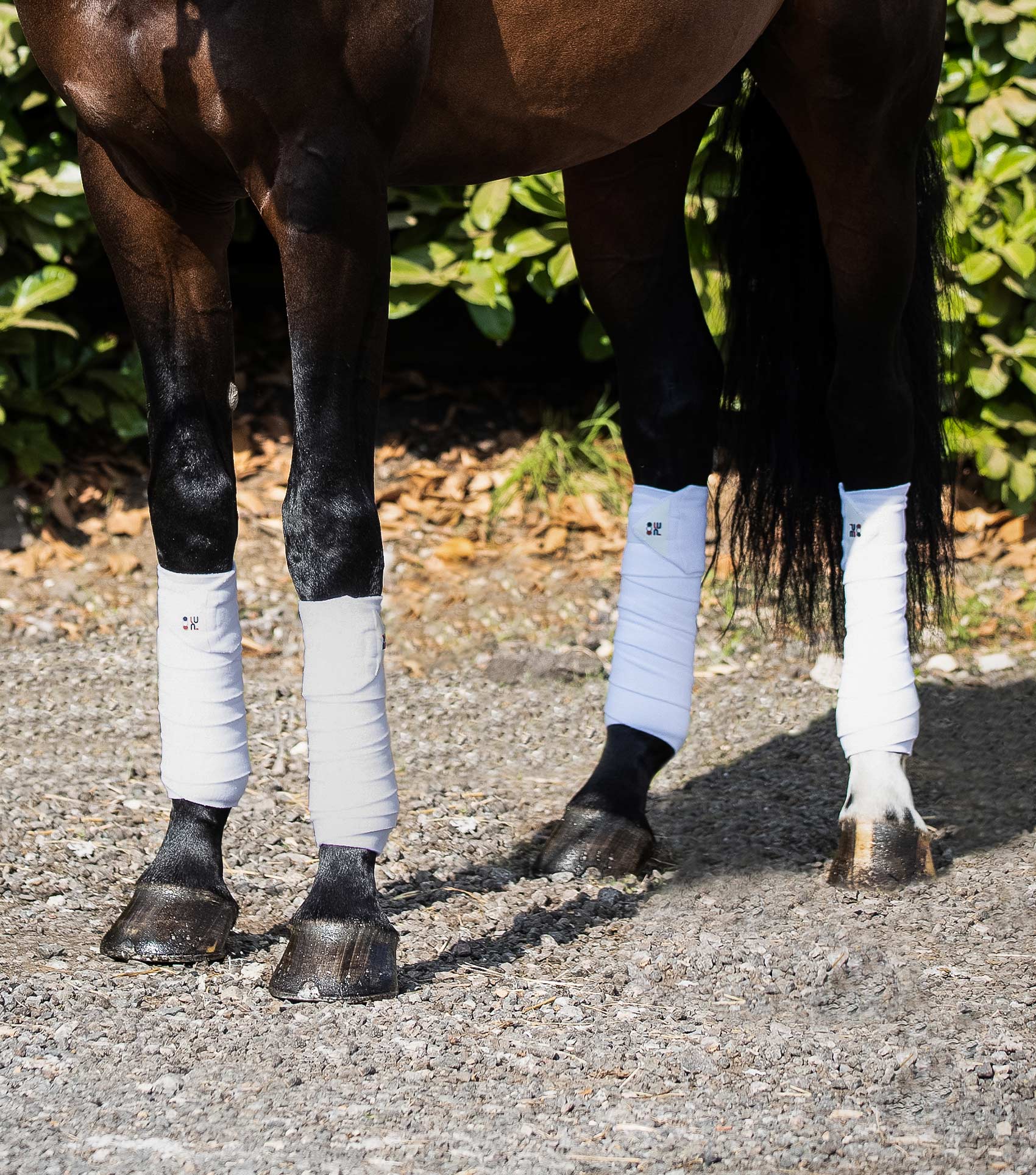 Horse Polo Fleece Bandages White - Image 3