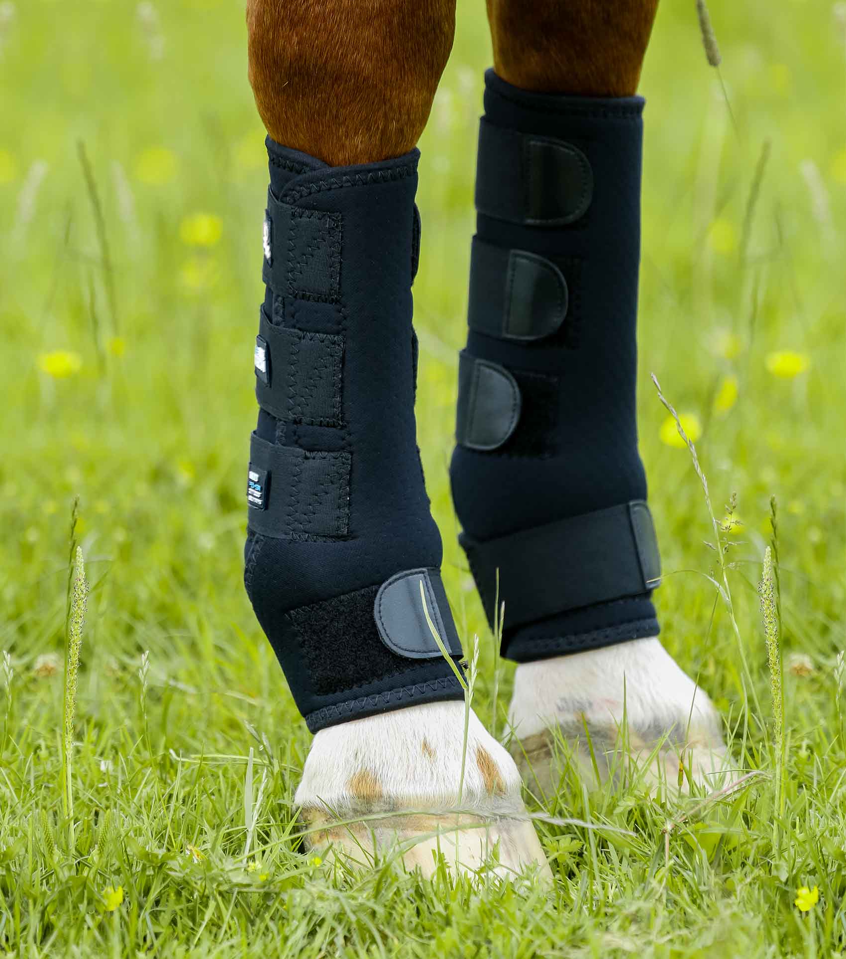 Turnout Boots - Image 4