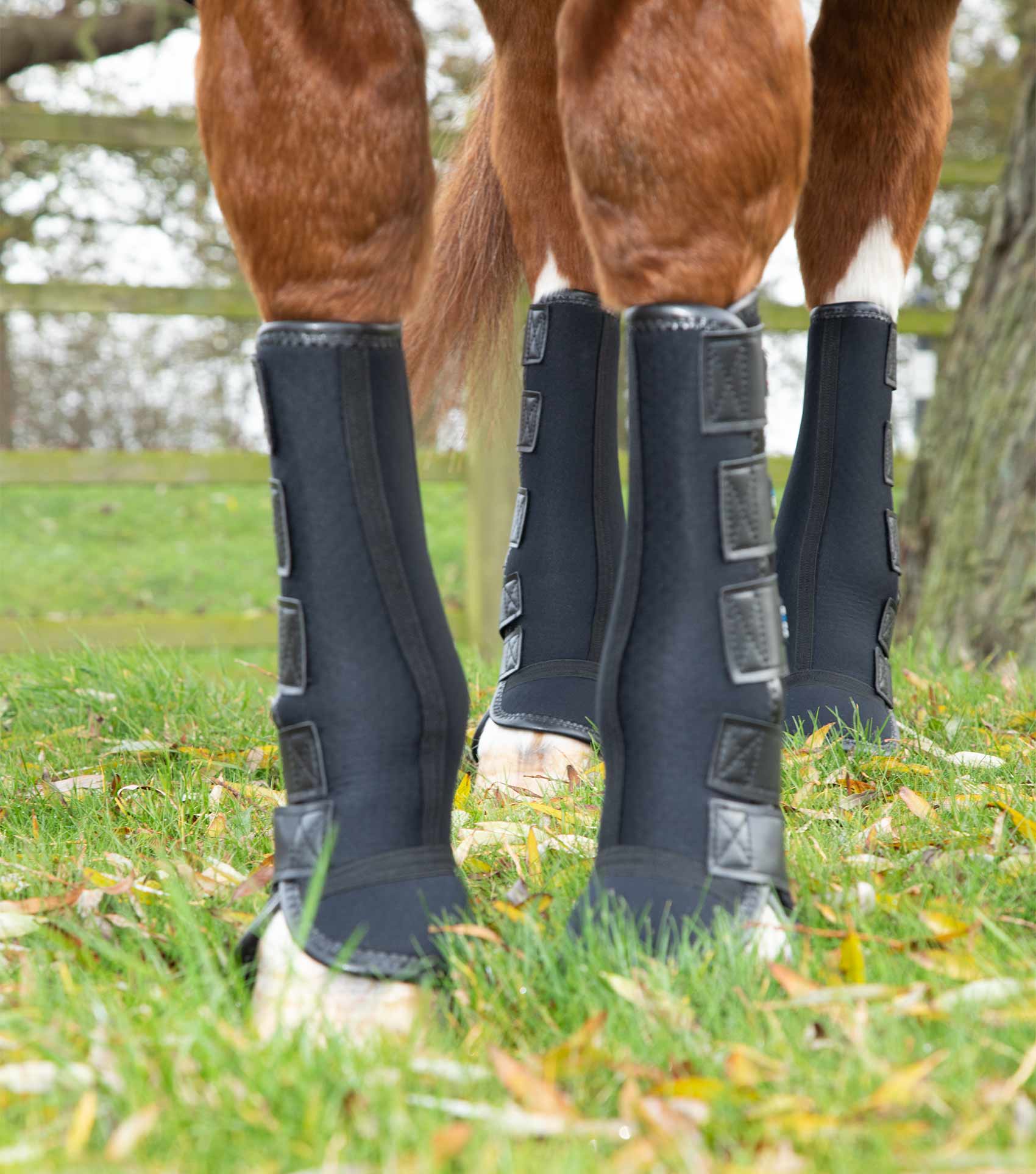 Turnout/ Mud Fever Boots - Image 5