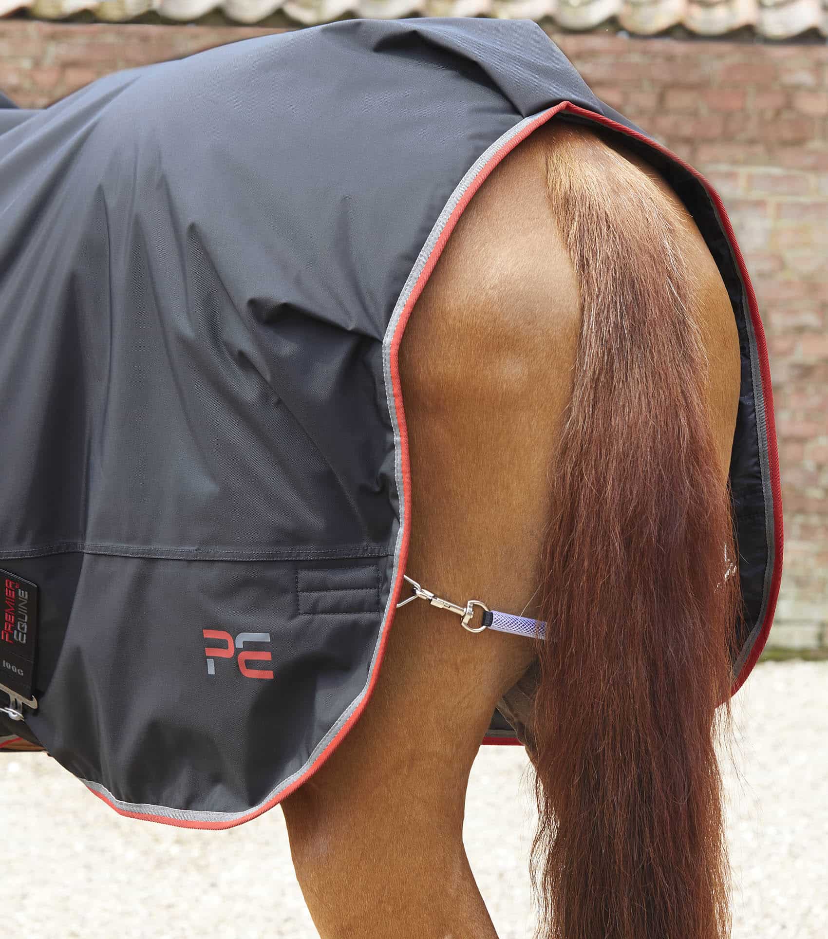 Horse Walker Rug 100g Black - Image 6