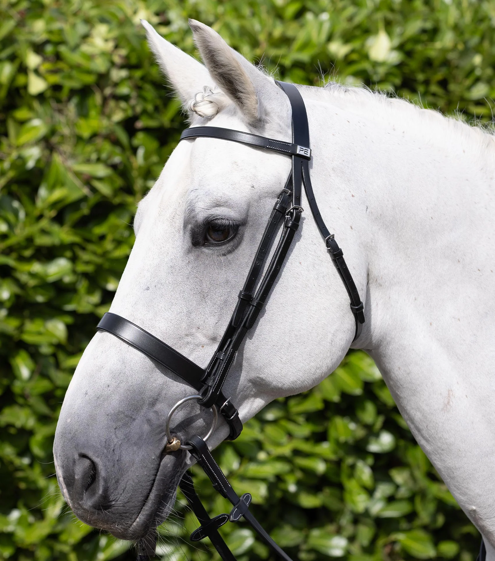 Hunter Bridle Black