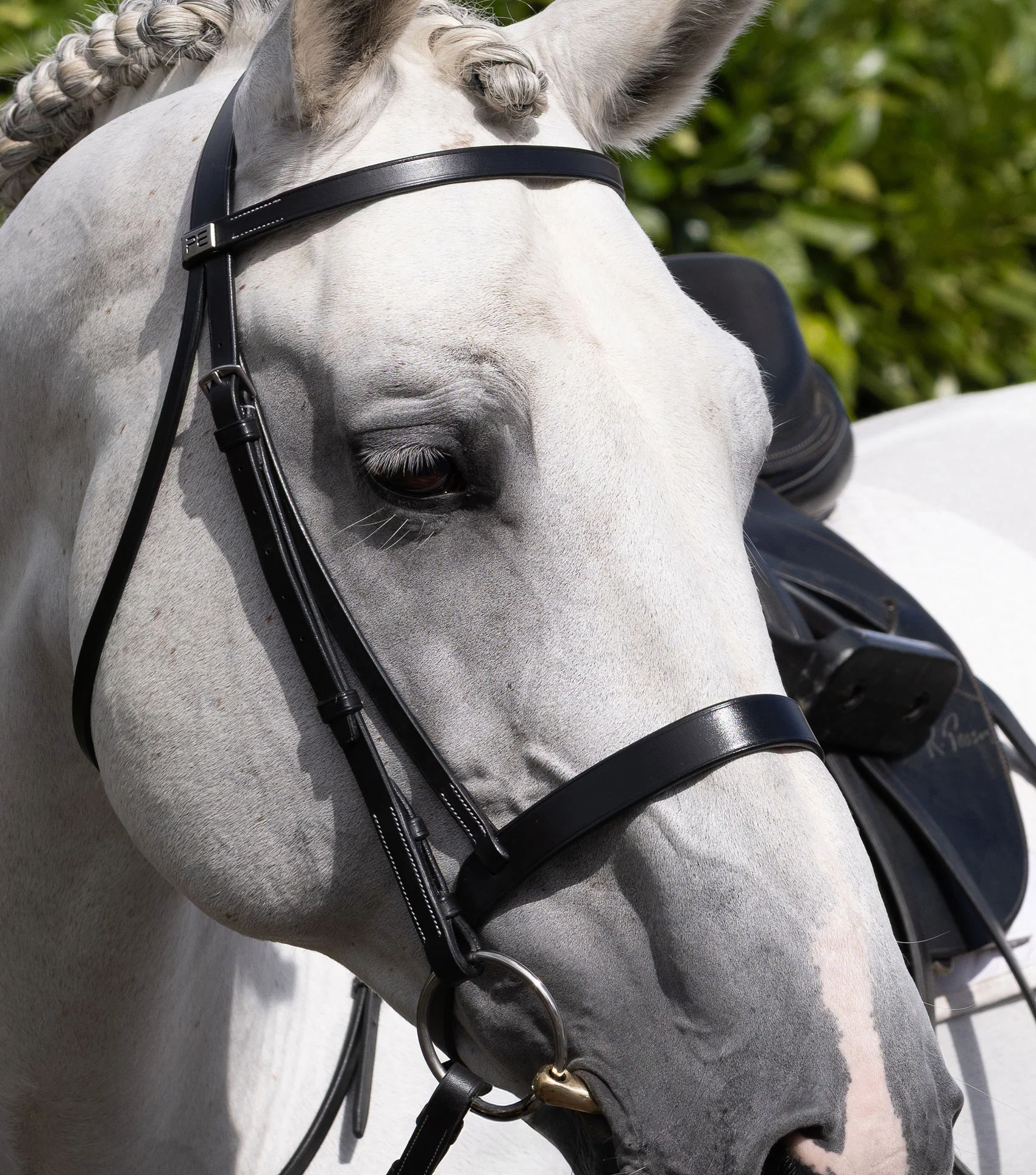 Hunter Cavesson Noseband Black - Image 2