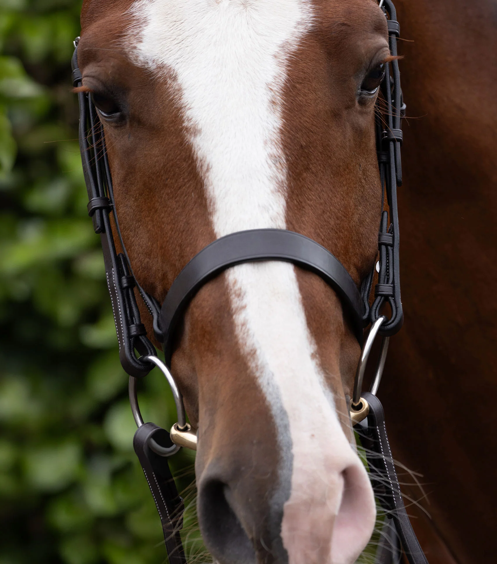 Hunter Cavesson Noseband Dark Havana - Image 2