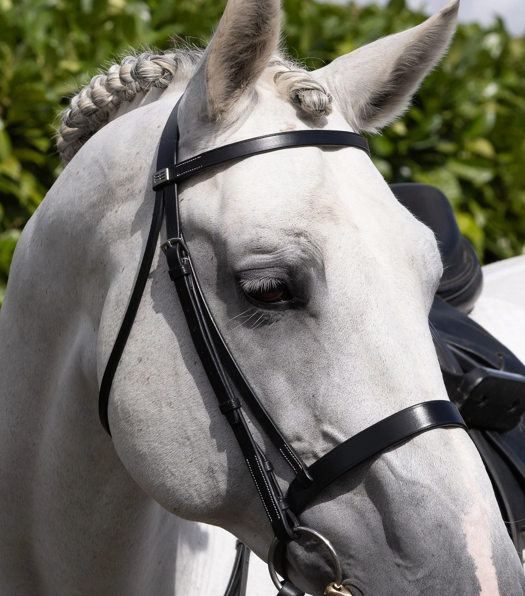 Hunter Plain Bridle Headpiece Black - Image 3