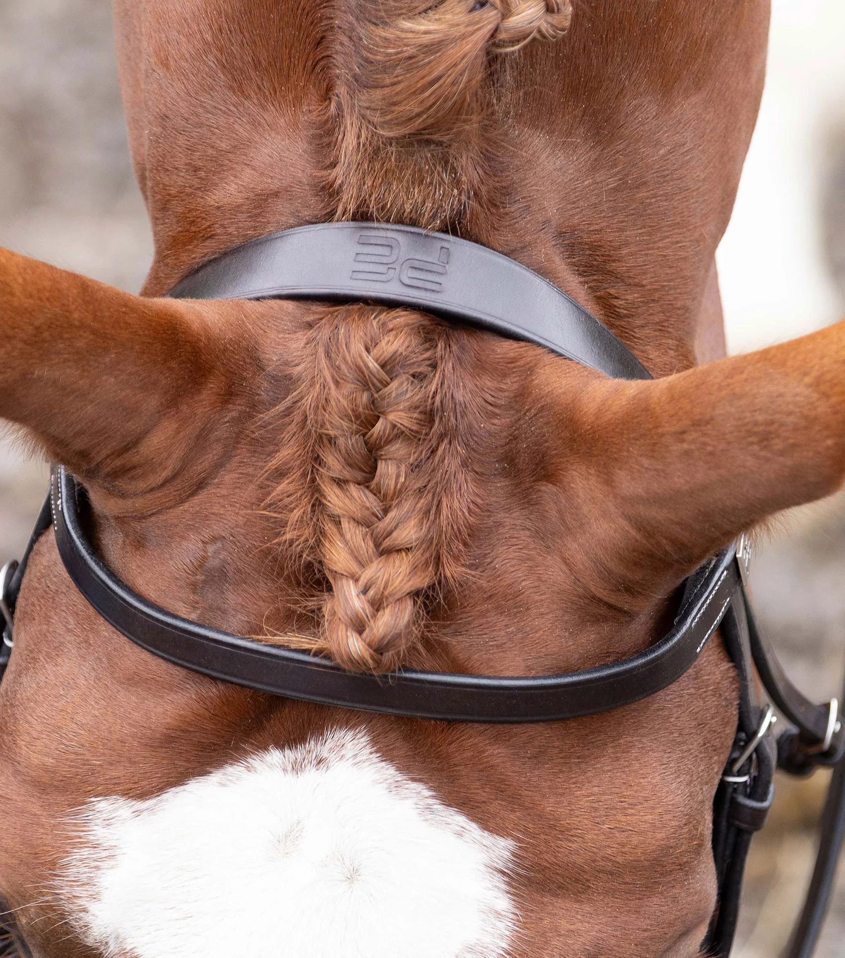 Hunter Plain Bridle Headpiece Dark Havana - Image 2