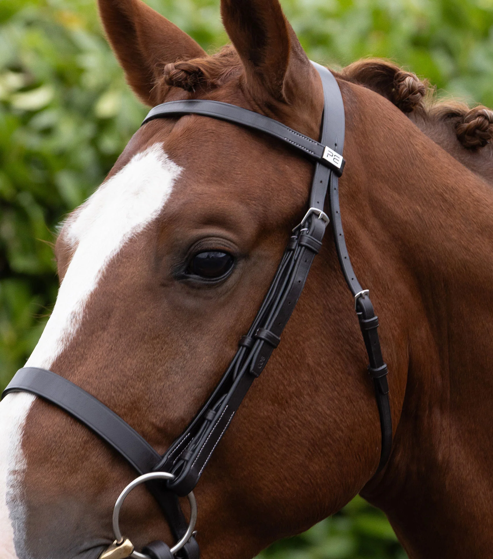 Hunter Plain Bridle Headpiece Dark Havana - Image 3