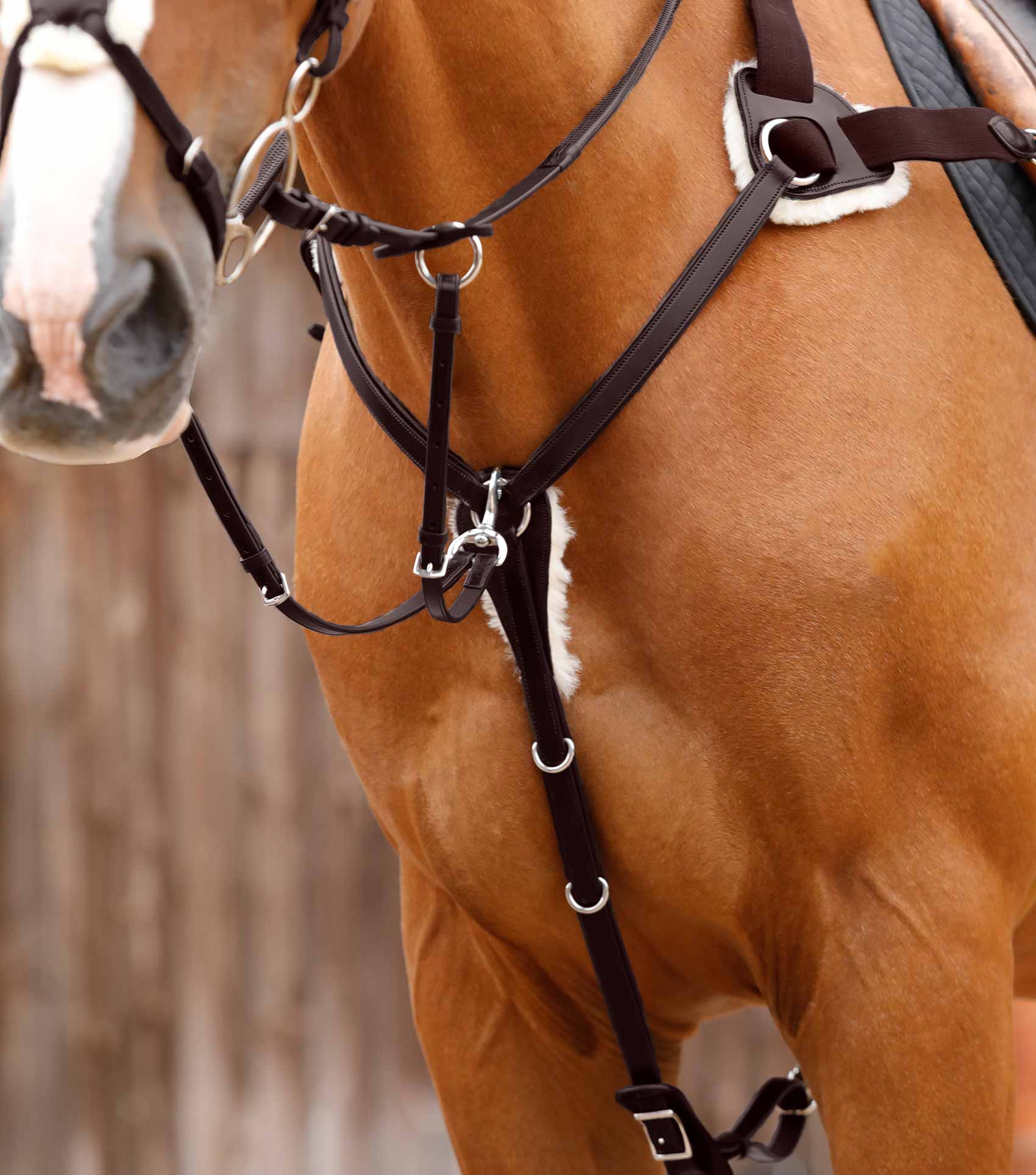 Invorio 5 Point Breastplate Brown - Image 3