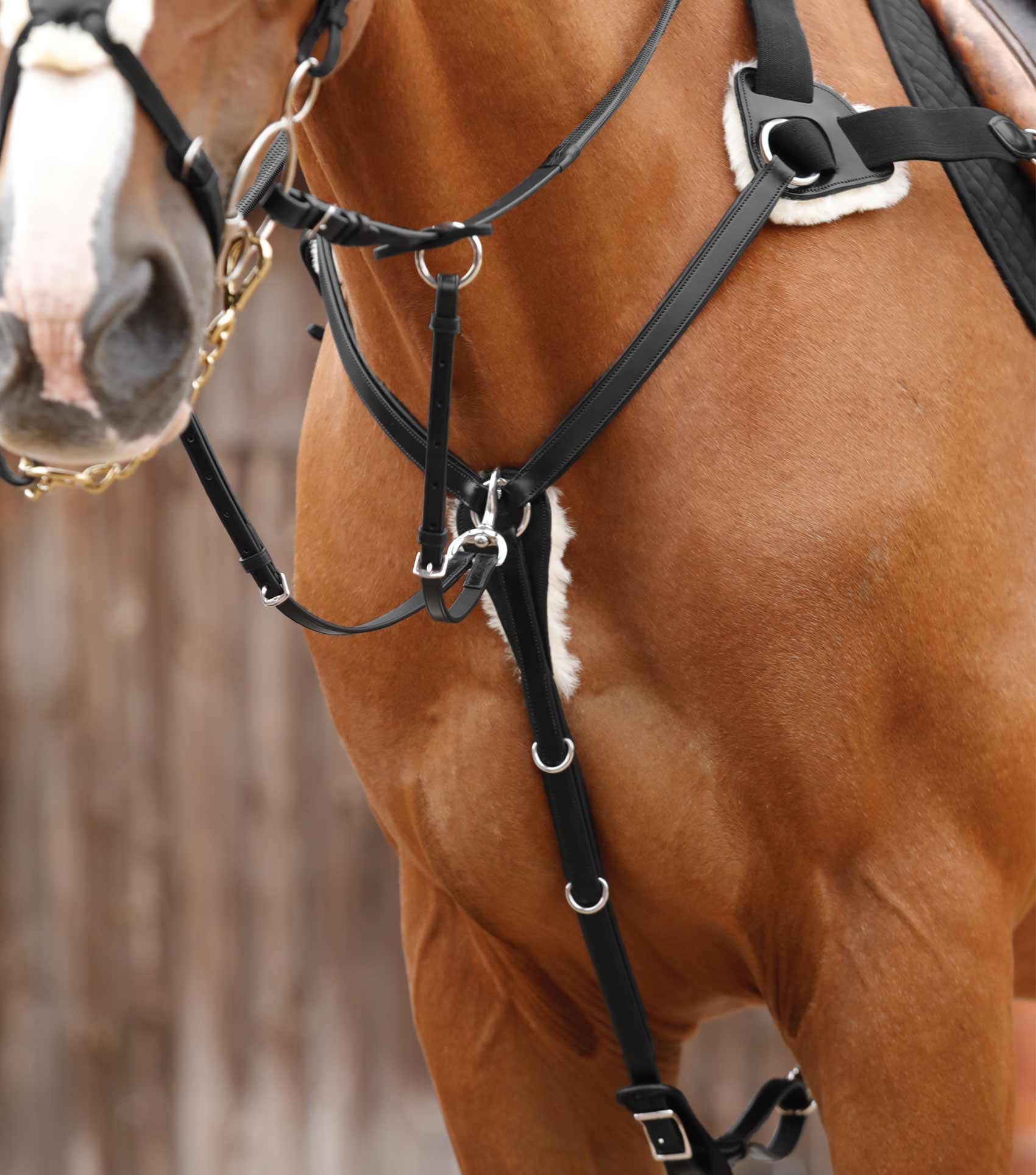 Invorio 5 Point Breastplate Black - Image 3