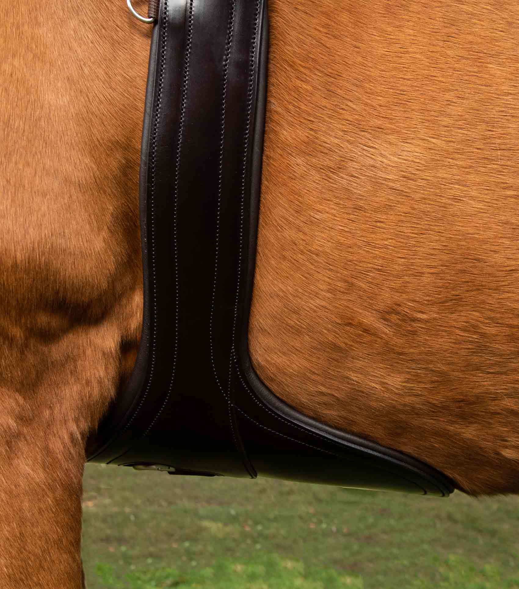 Lizzano Anatomic Leather Stud Girth Brown - Image 2