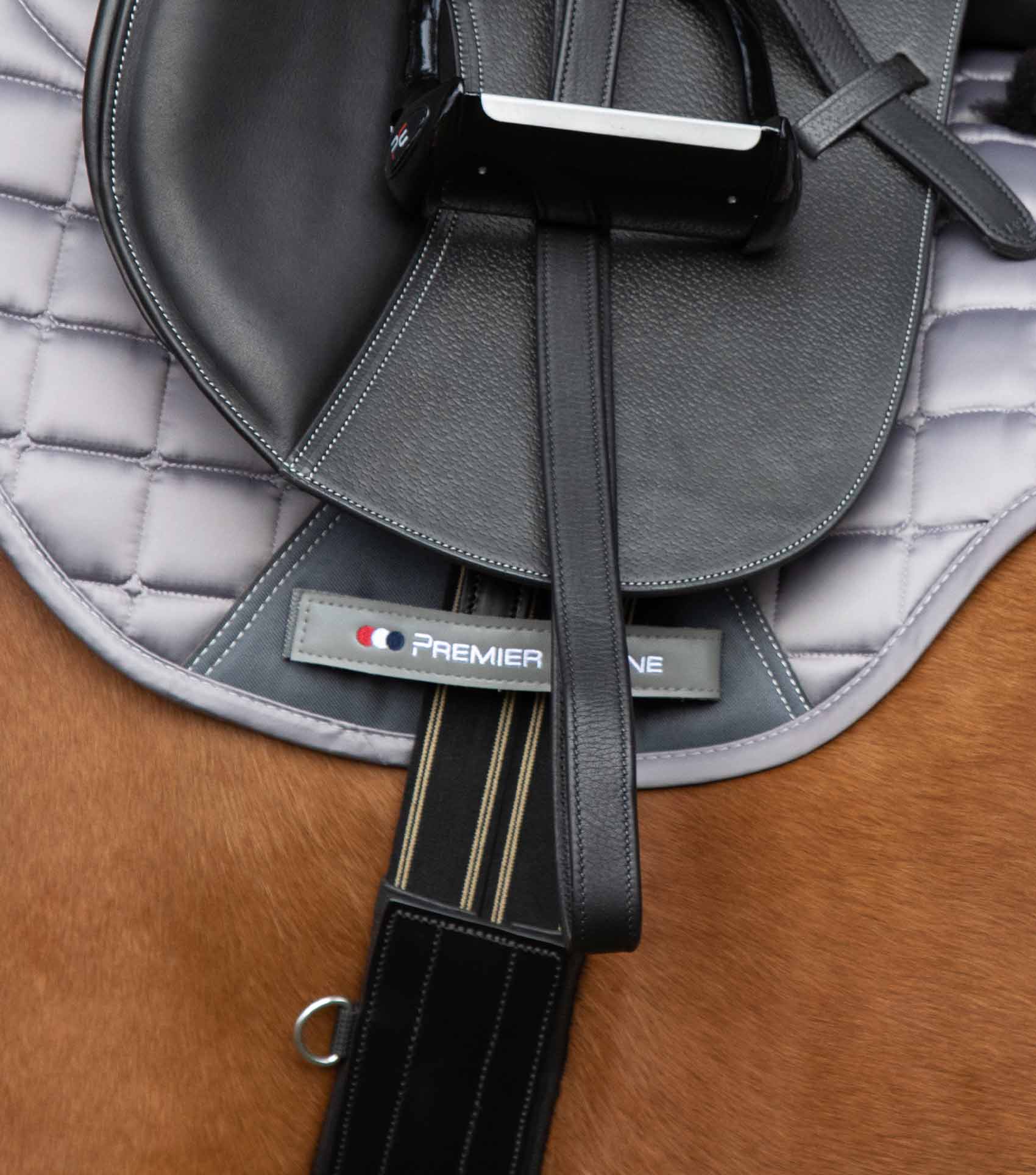 Lizzano Anatomic Leather Stud Girth Black - Image 4