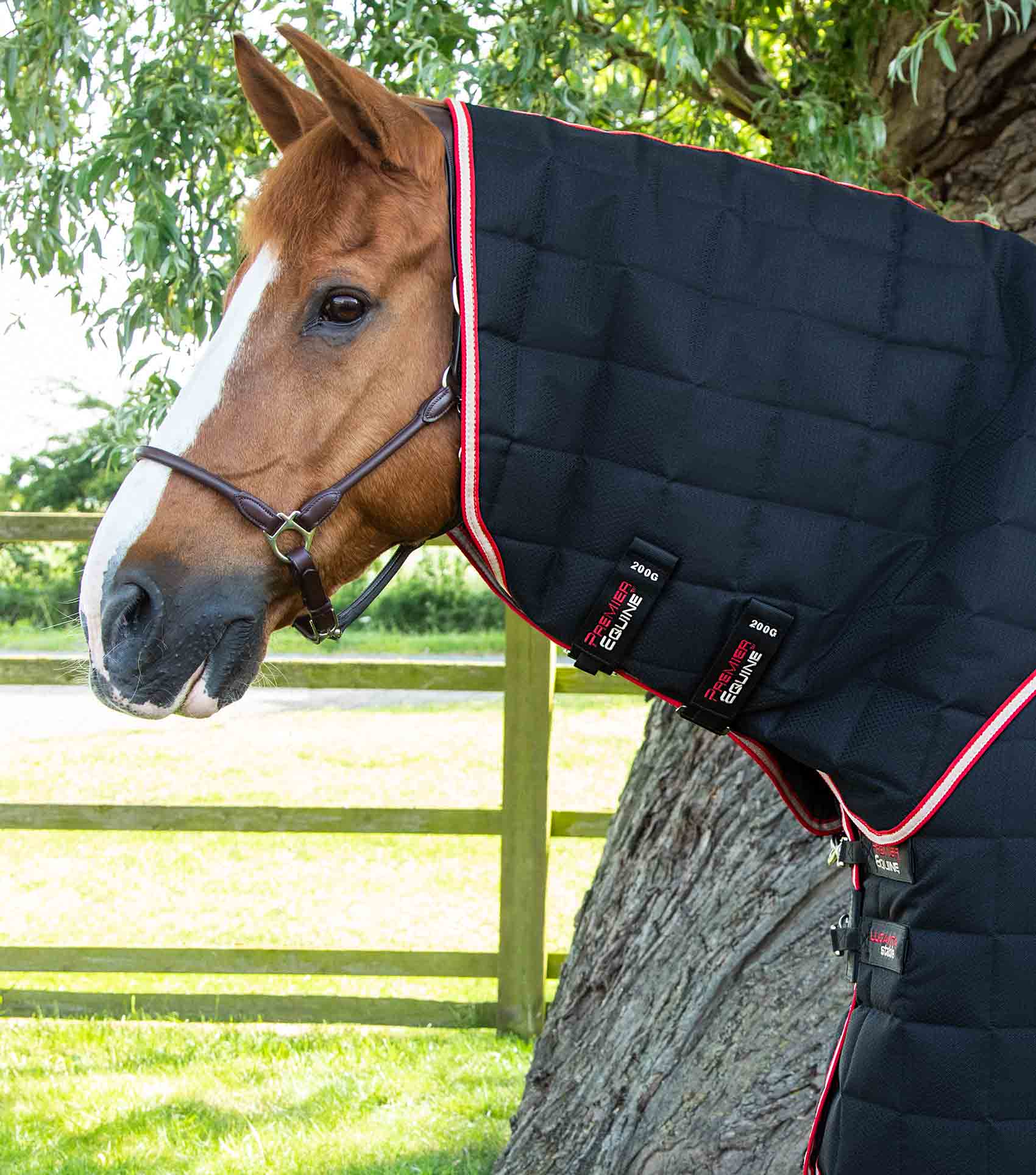 Lucanta 200g Stable Rug with Neck Cover Black - Image 2