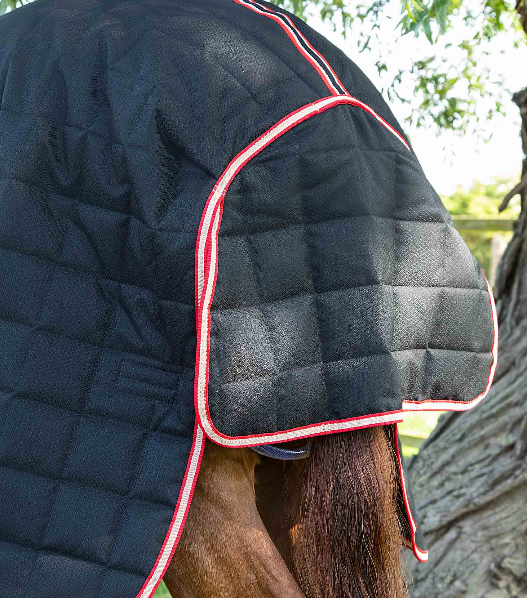 Lucanta 200g Stable Rug with Neck Cover Black - Image 5