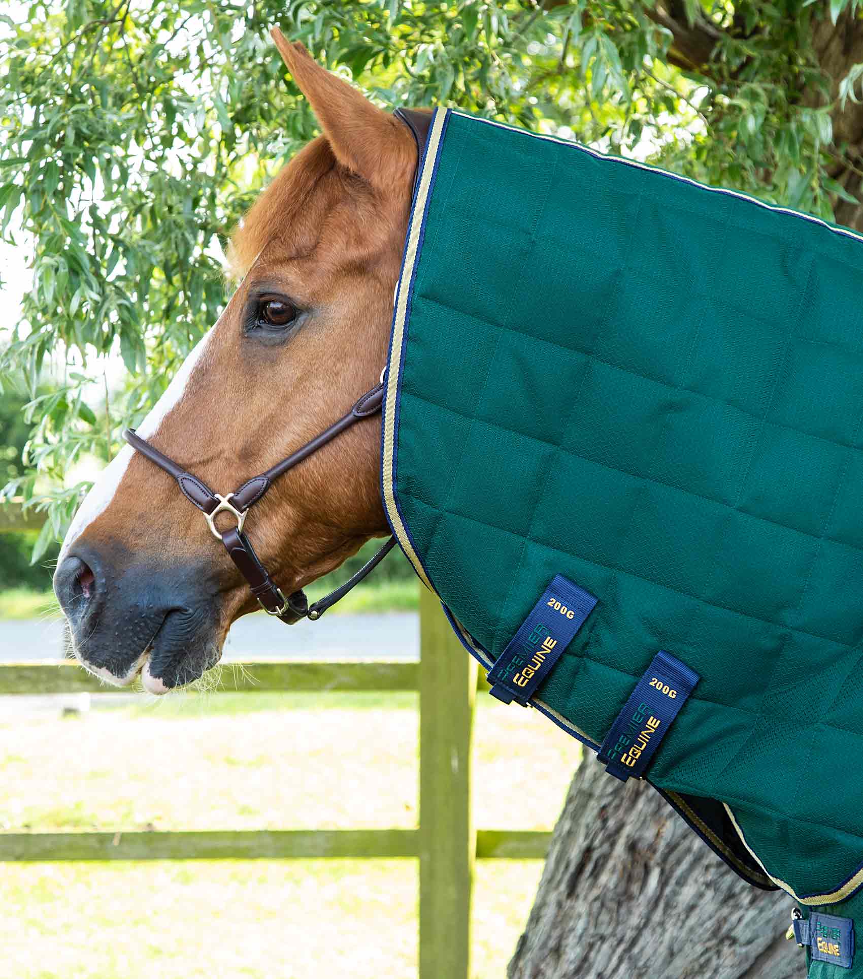 Lucanta 200g Stable Rug with Neck Cover Green - Image 2