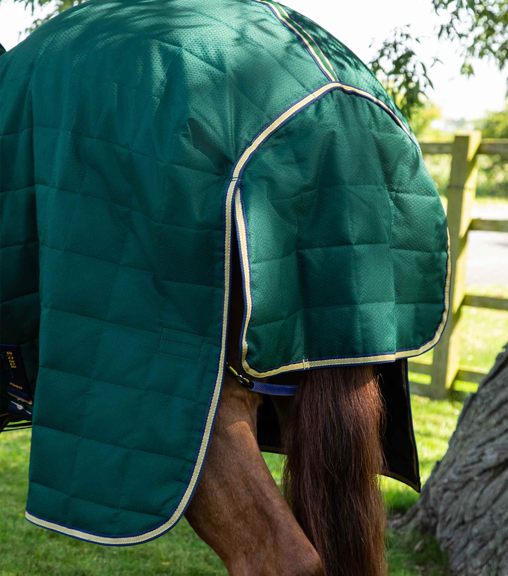 Lucanta 200g Stable Rug with Neck Cover Green - Image 5