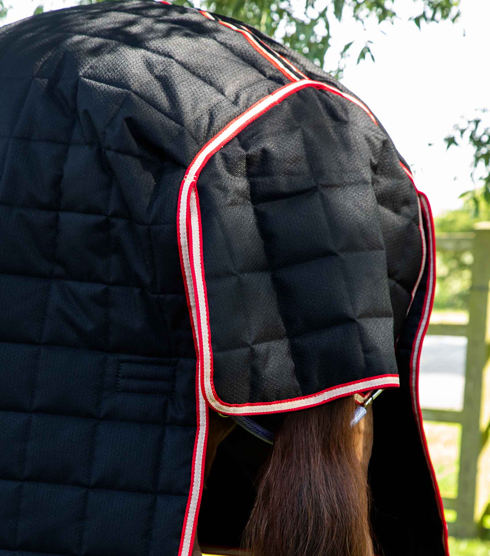 Lucanta 450g Stable Rug with Neck Cover Black - Image 5