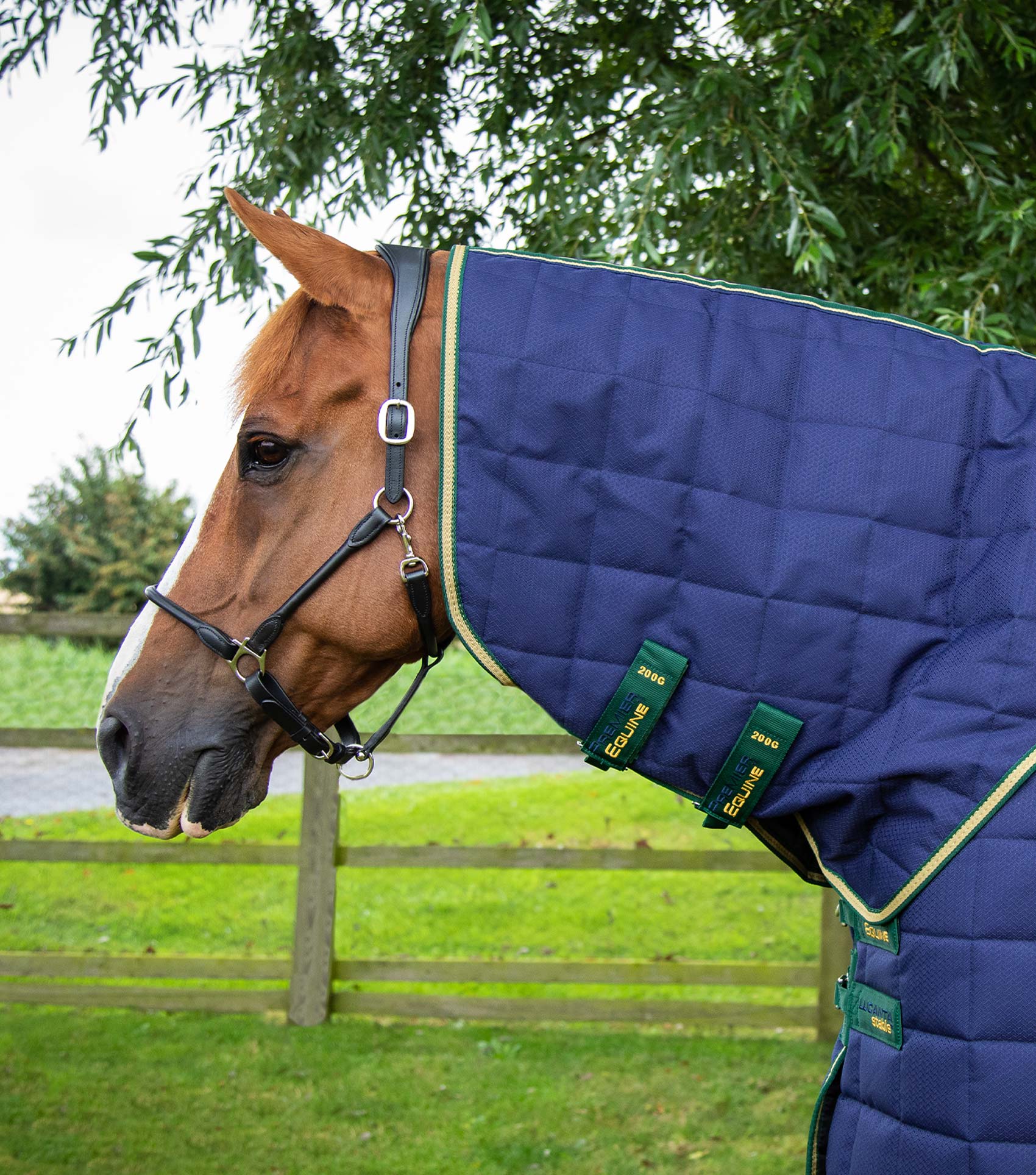 Lucanta 450g Stable Rug with Neck Cover Navy - Image 3