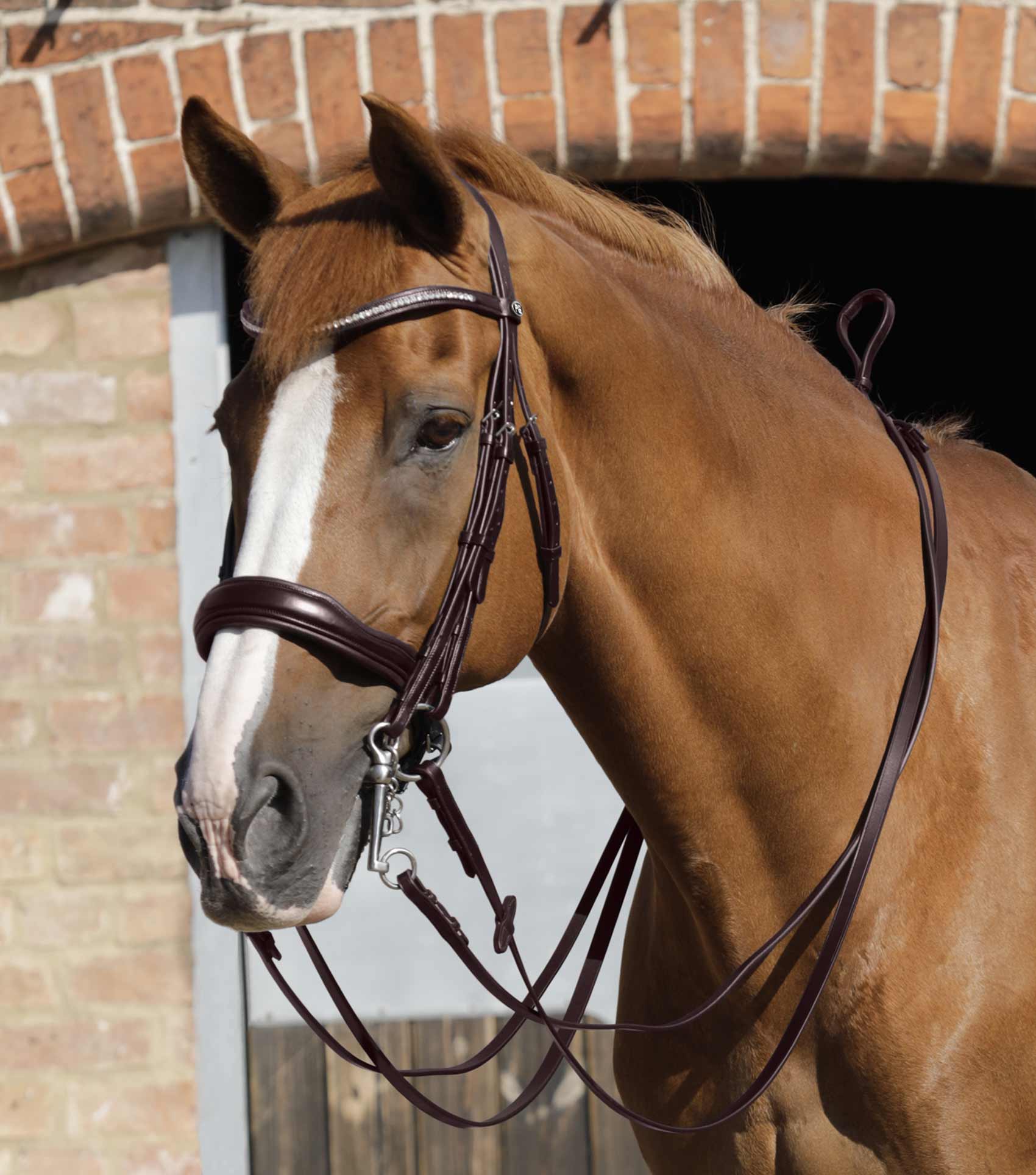 Luigi Plain Leather Reins Brown - Image 2