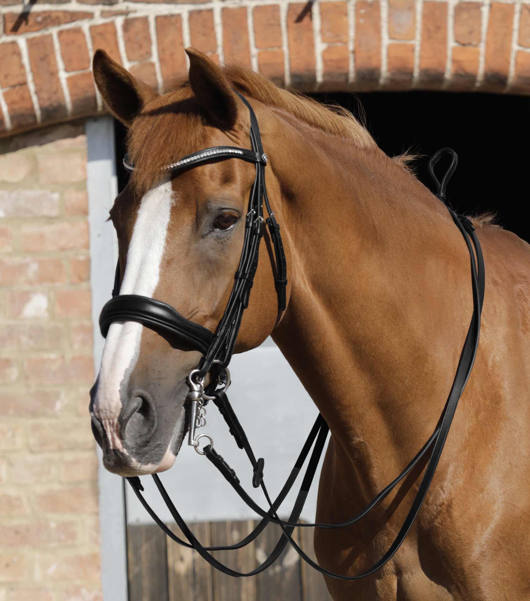 Luigi Plain Leather Reins Black - Image 2