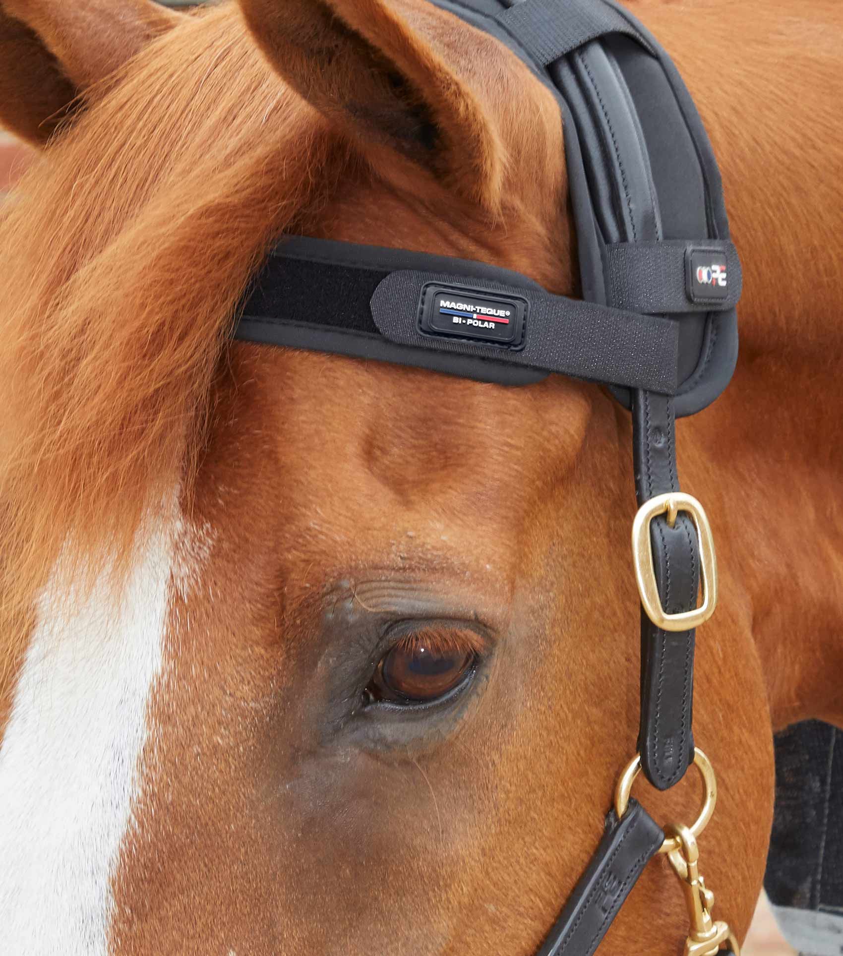 Magni-Teque Magnetic Browband - Image 3