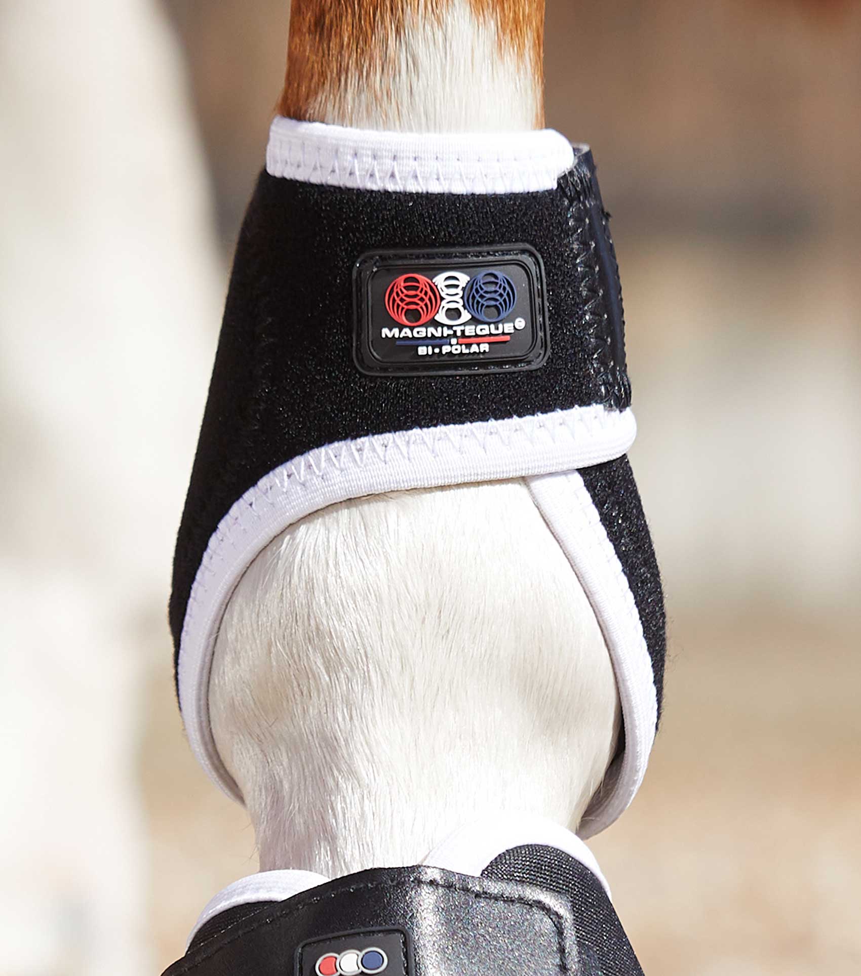 Magni-Teque Magnetic Fetlock Boots - Image 4