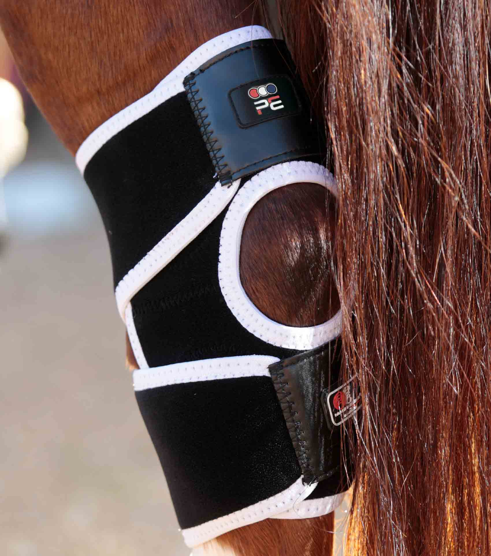 Magni-Teque Magnetic Hock Boots - Image 4