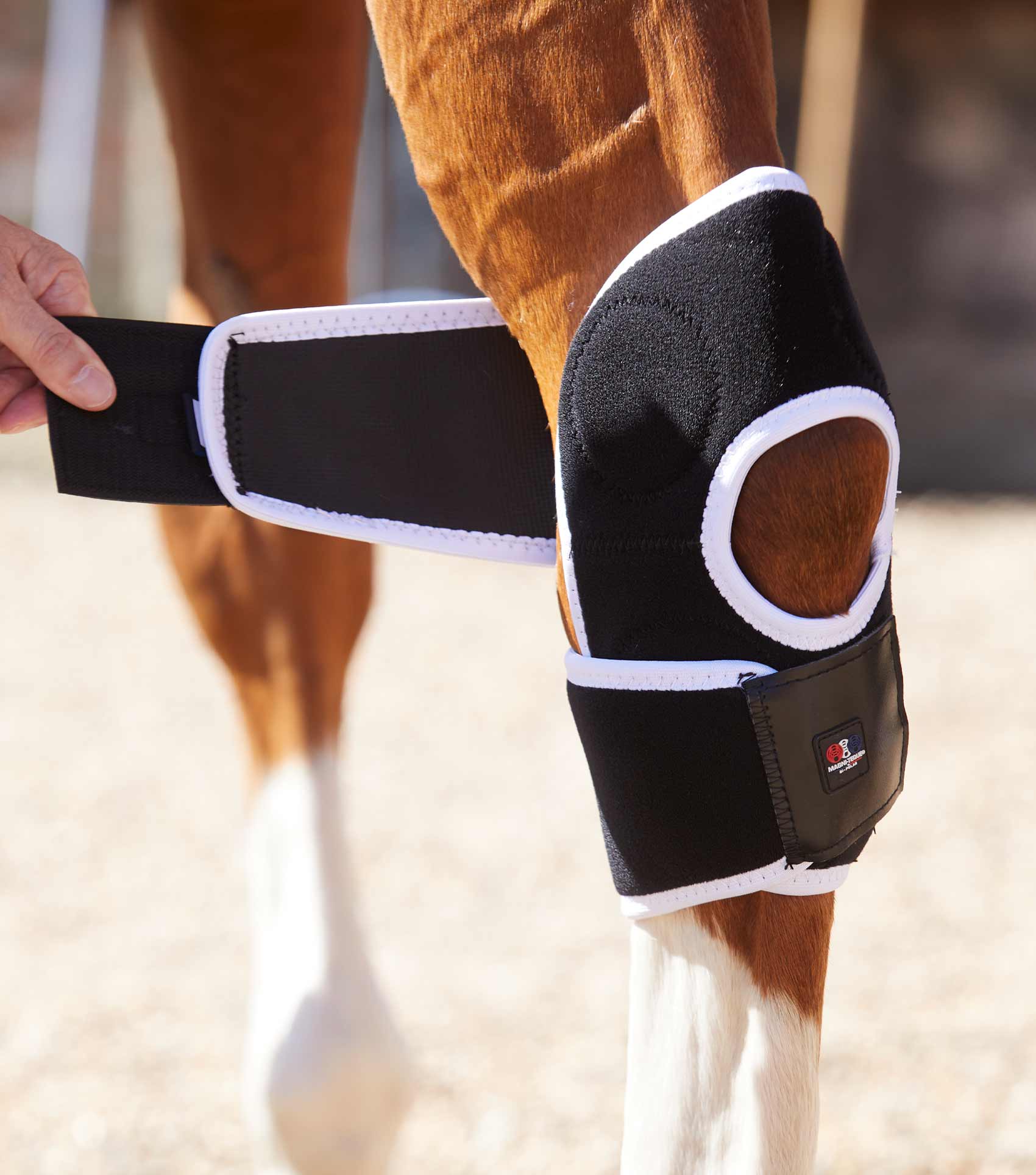 Magni-Teque Magnetic Hock Boots - Image 5