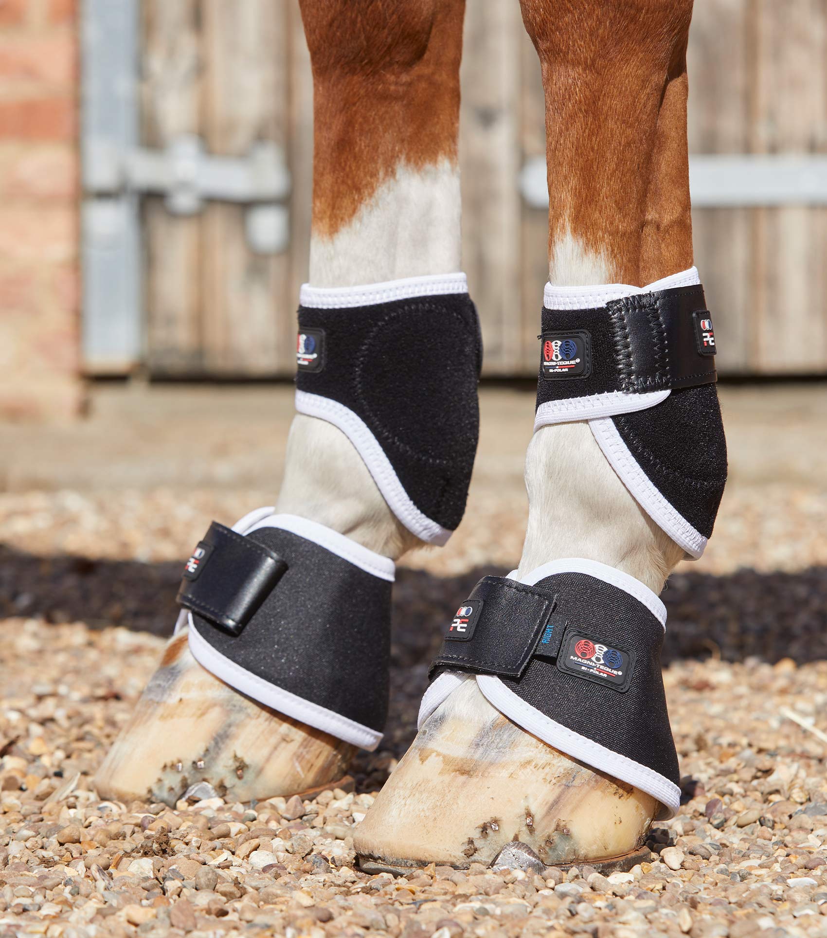 Magni-Teque Magnetic Hoof Boots - Image 4