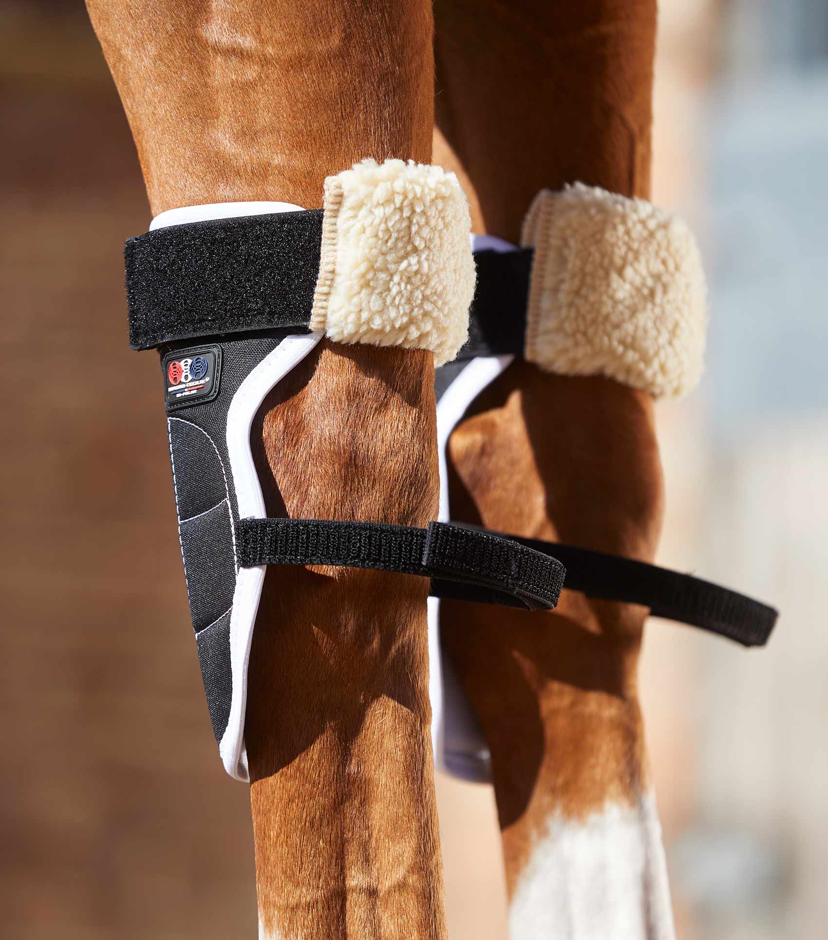 Magni-Teque Magnetic Horse Knee Boots - Image 3