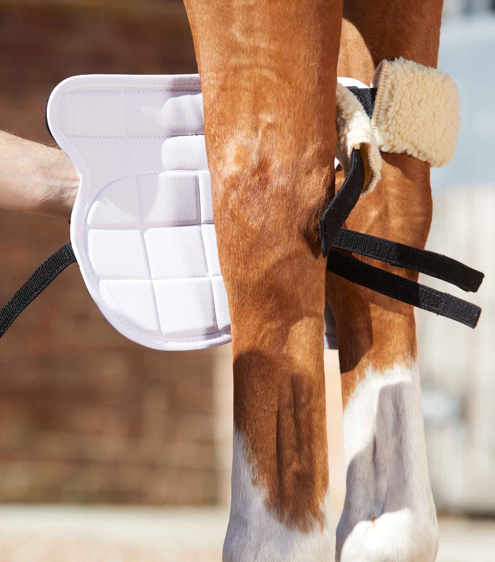 Magni-Teque Magnetic Horse Knee Boots - Image 4