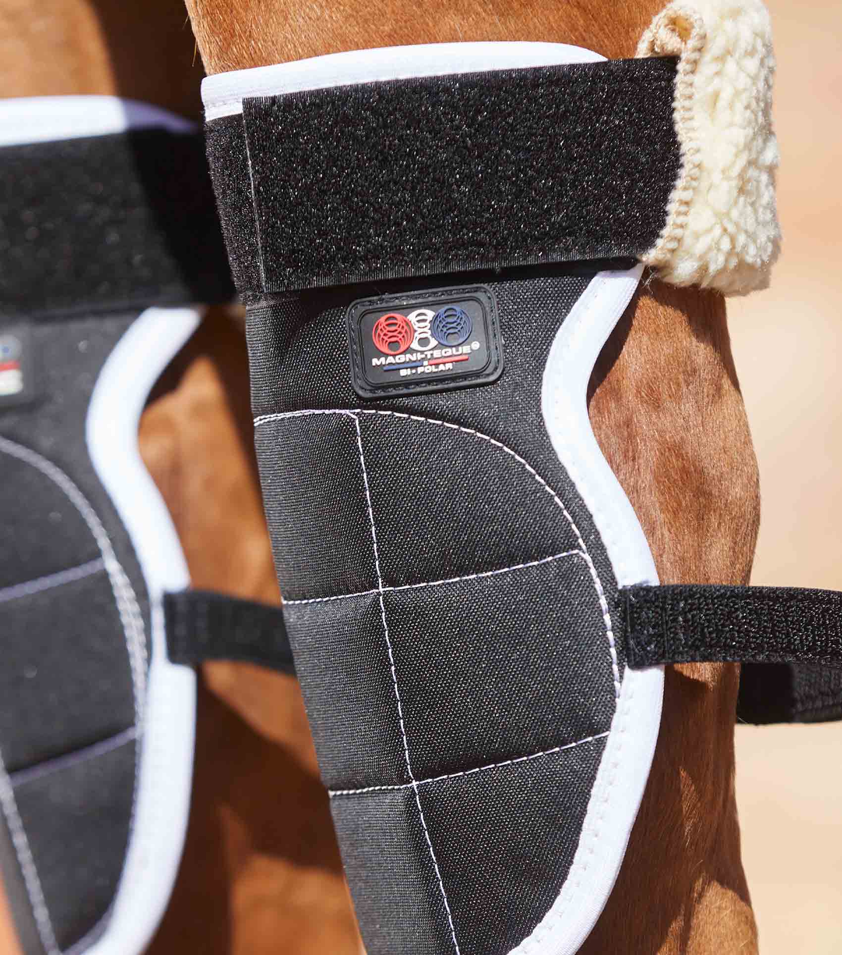 Magni-Teque Magnetic Horse Knee Boots - Image 5