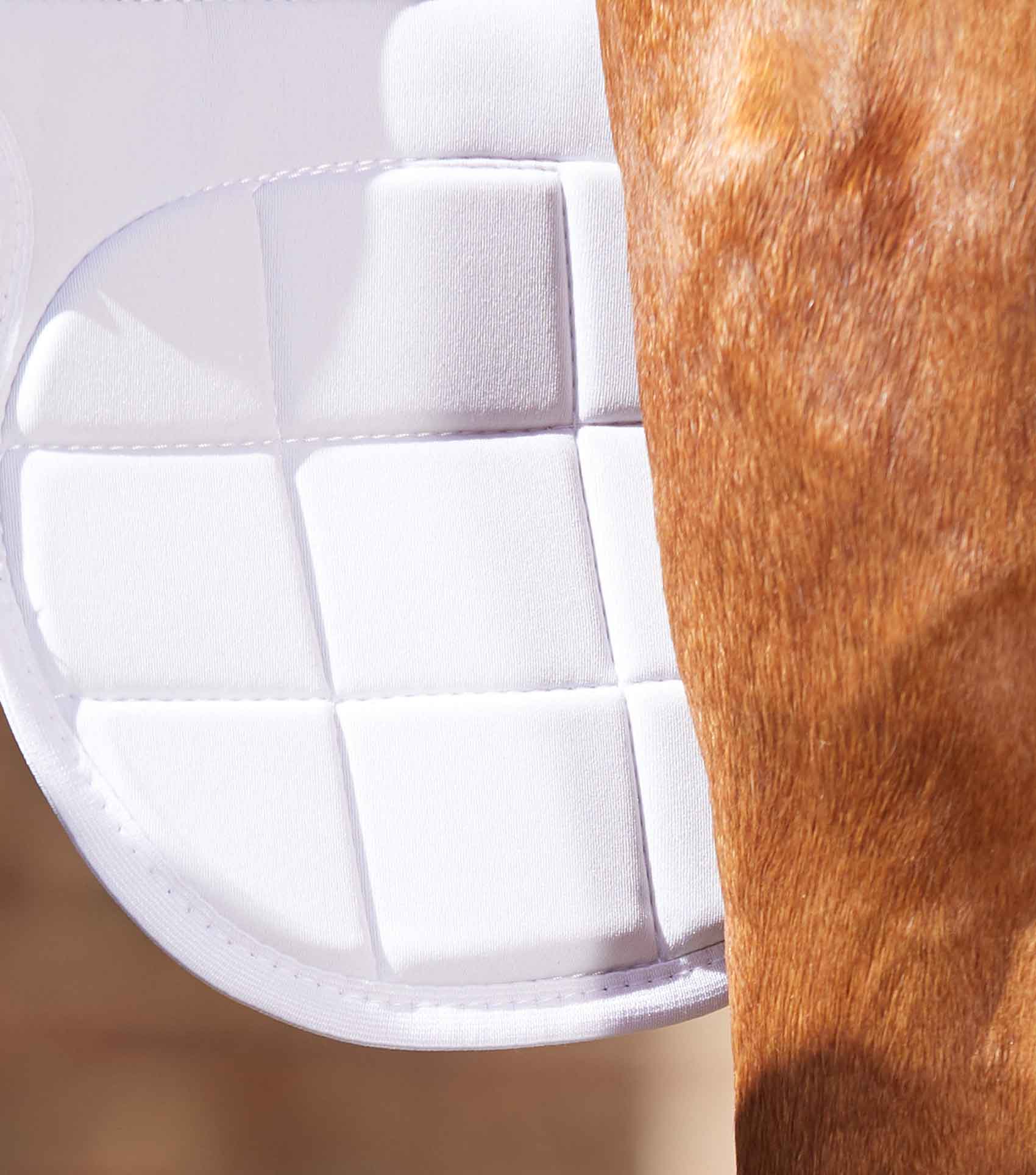 Magni-Teque Magnetic Horse Knee Boots - Image 6