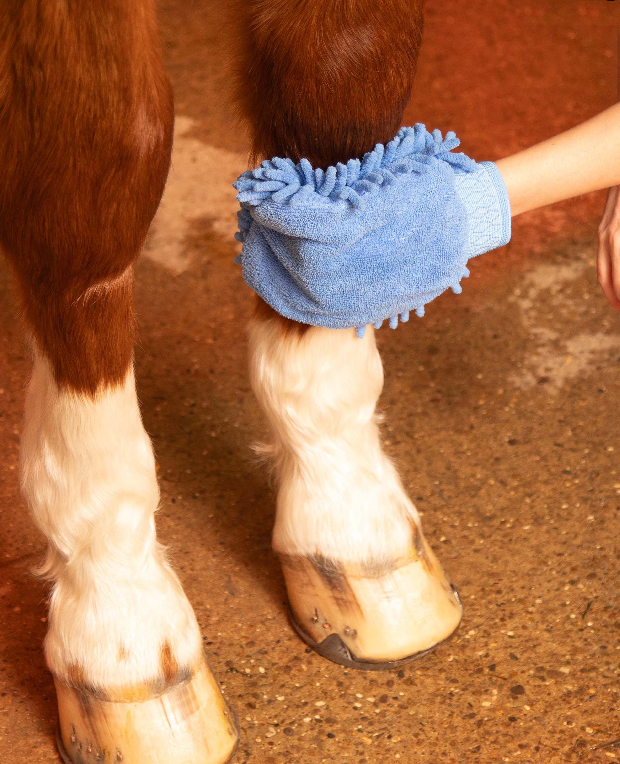 Microfibre Grooming Mitt Peacock Blue - Image 2