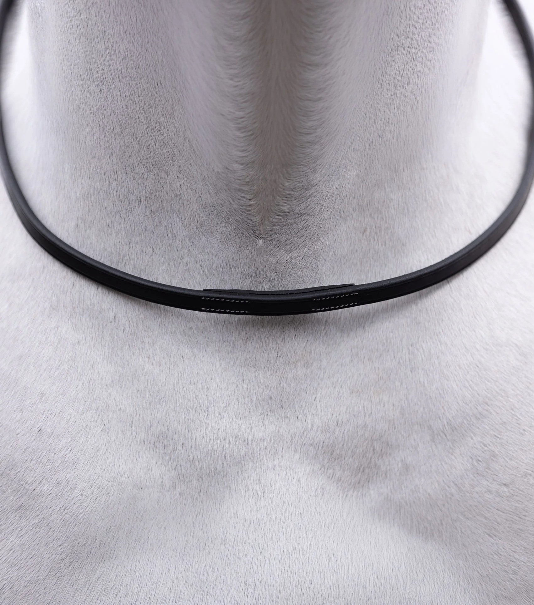 European Neck Strap Black - Image 2