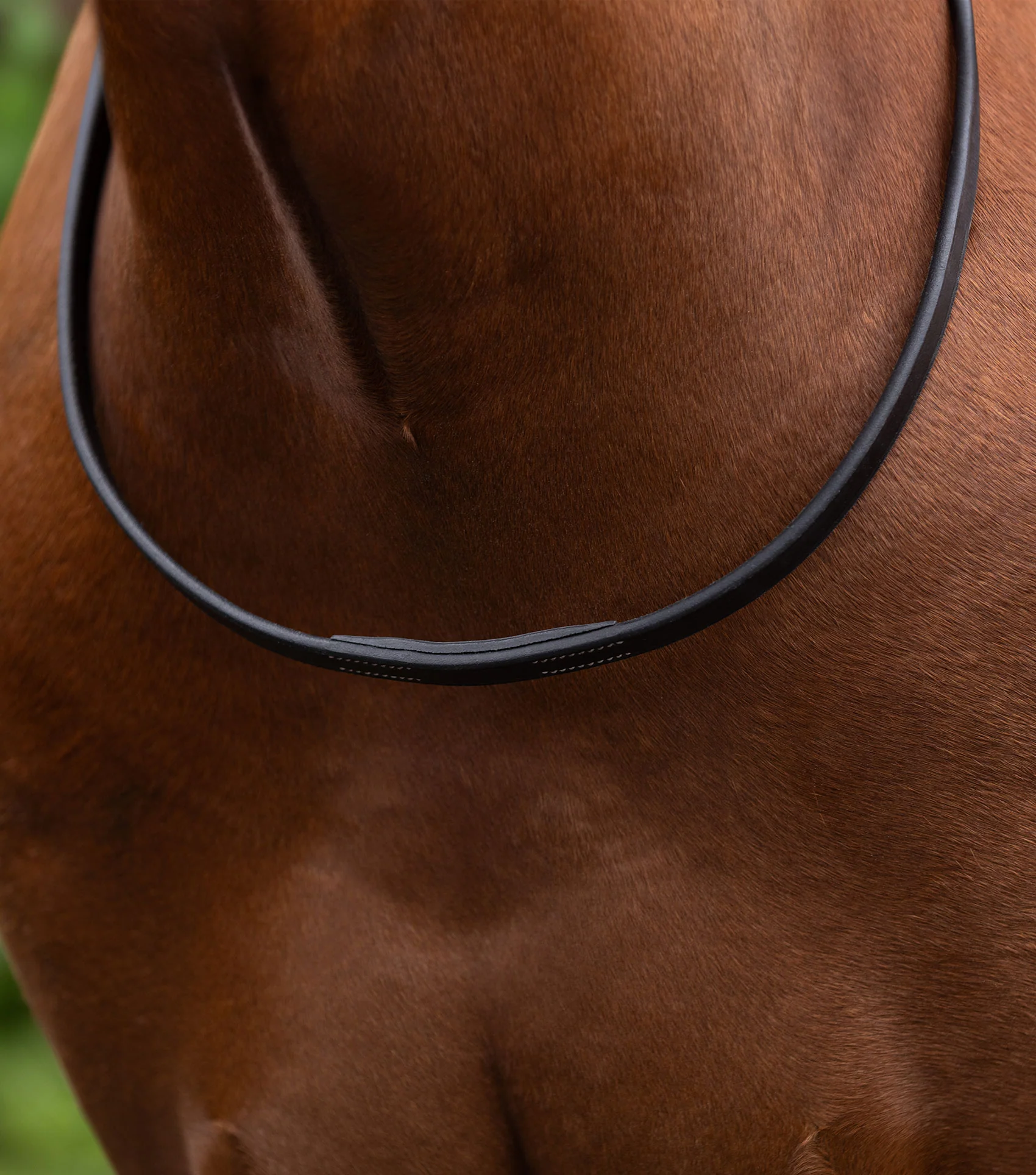 European Neck Strap Dark Havana - Image 2