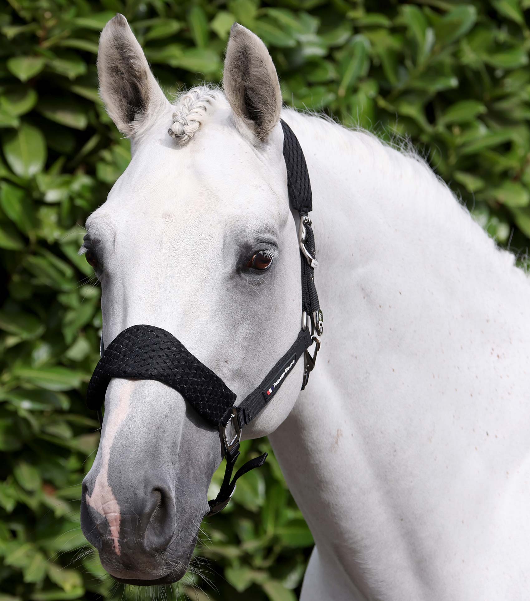 Necto 3D Mesh Head Collar with Lead Rope Black